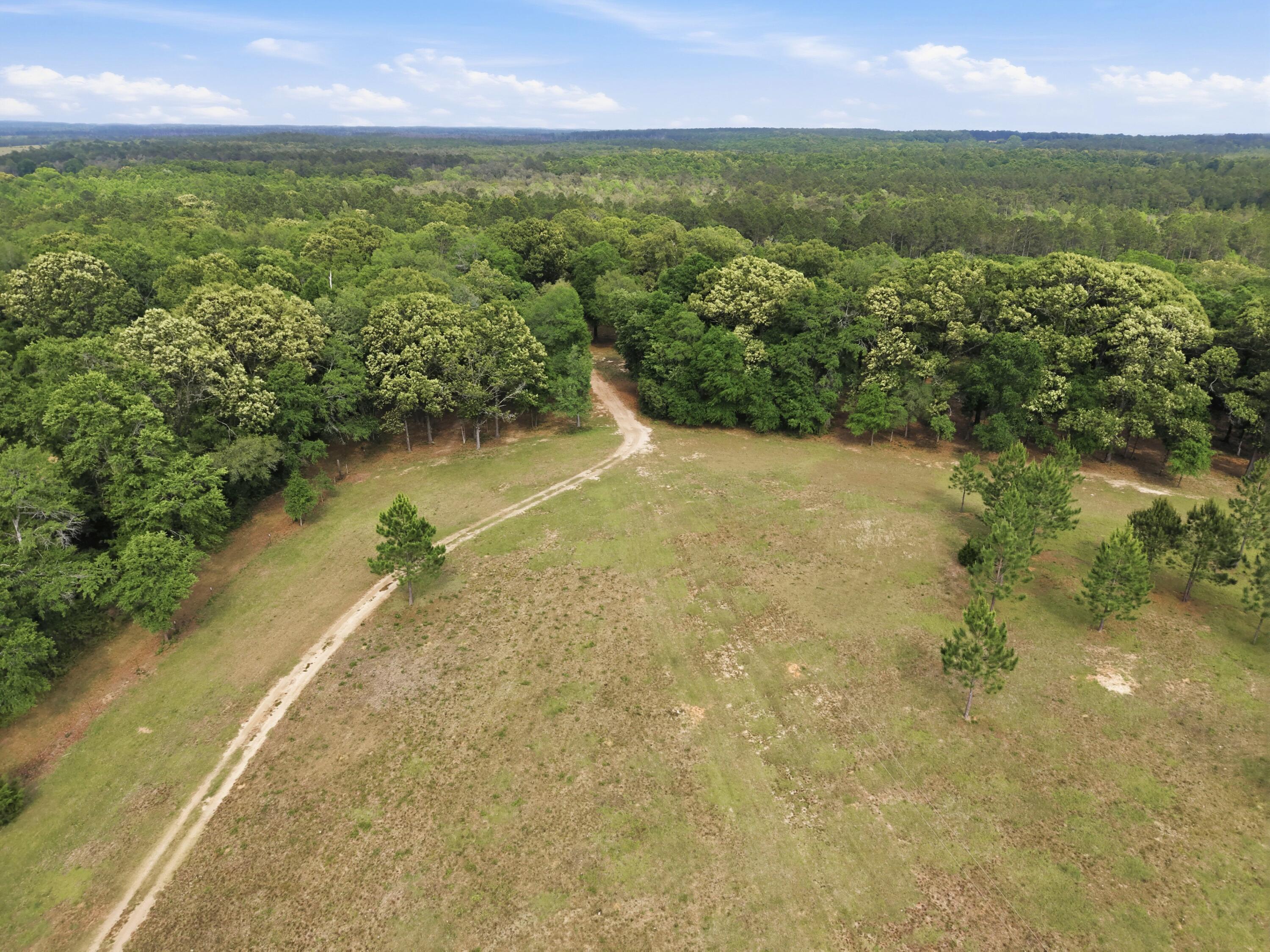 261 Wilkerson Road, DeFuniak Springs