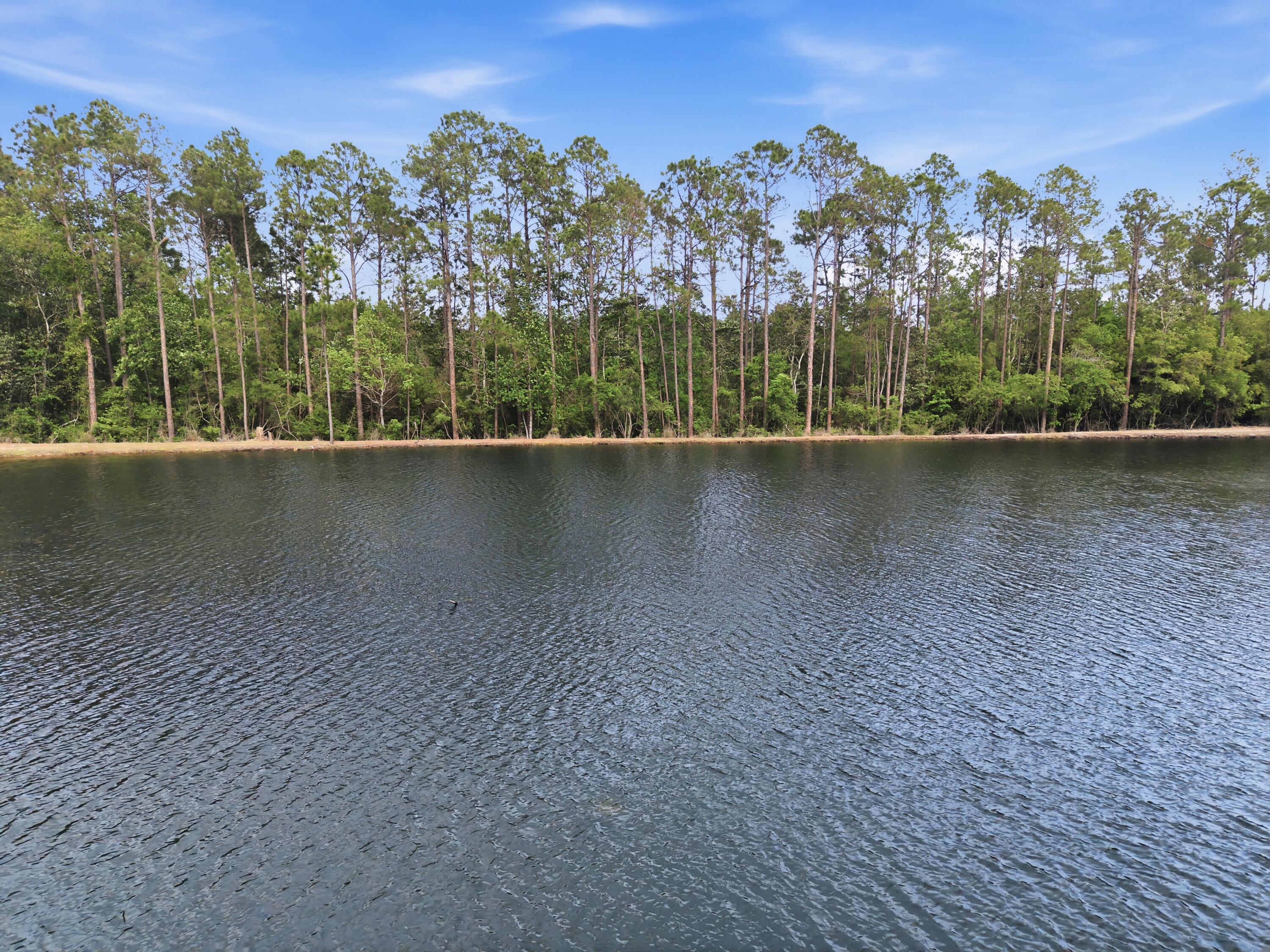 261 Wilkerson Road, DeFuniak Springs