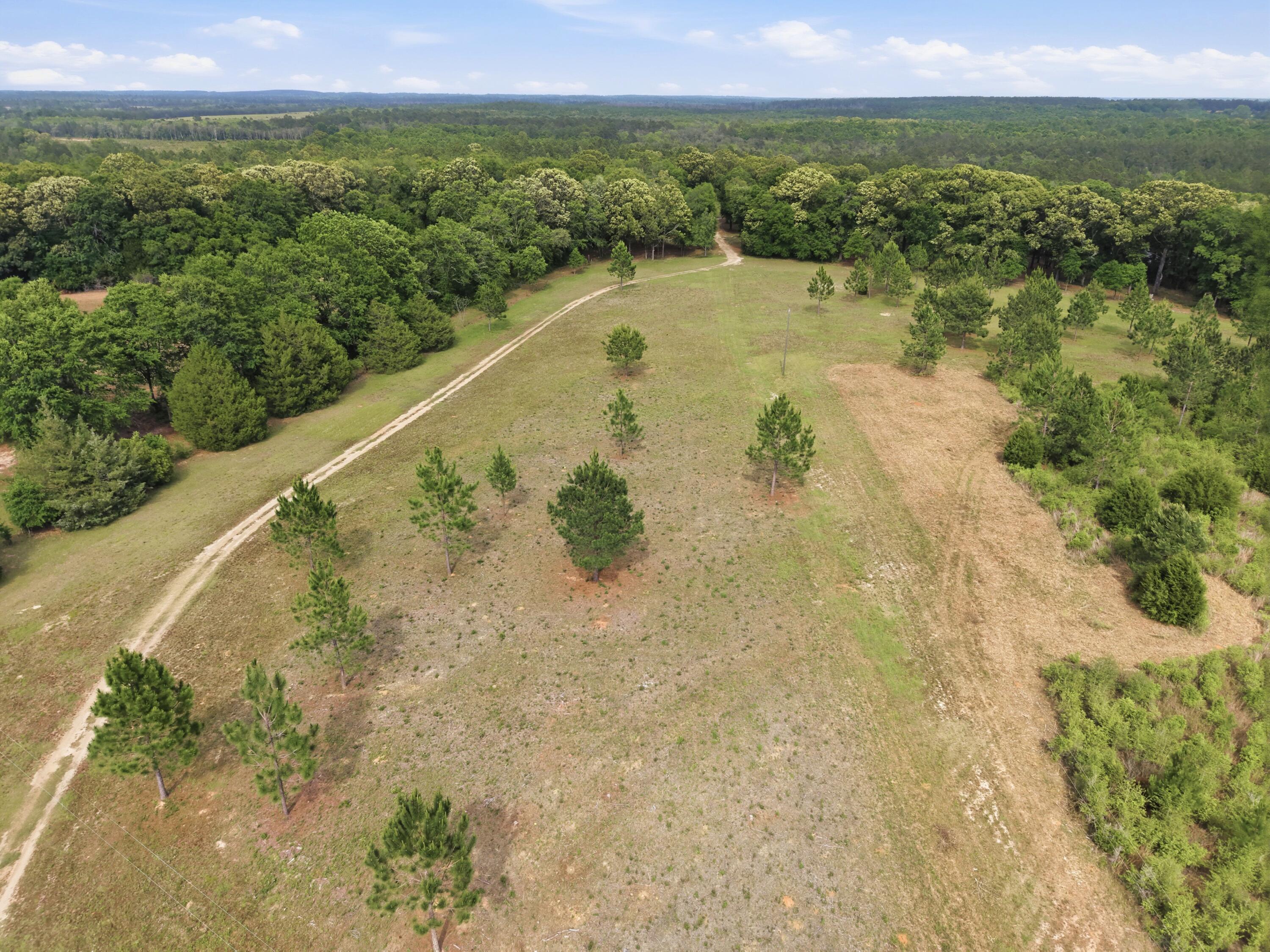 261 Wilkerson Road, DeFuniak Springs