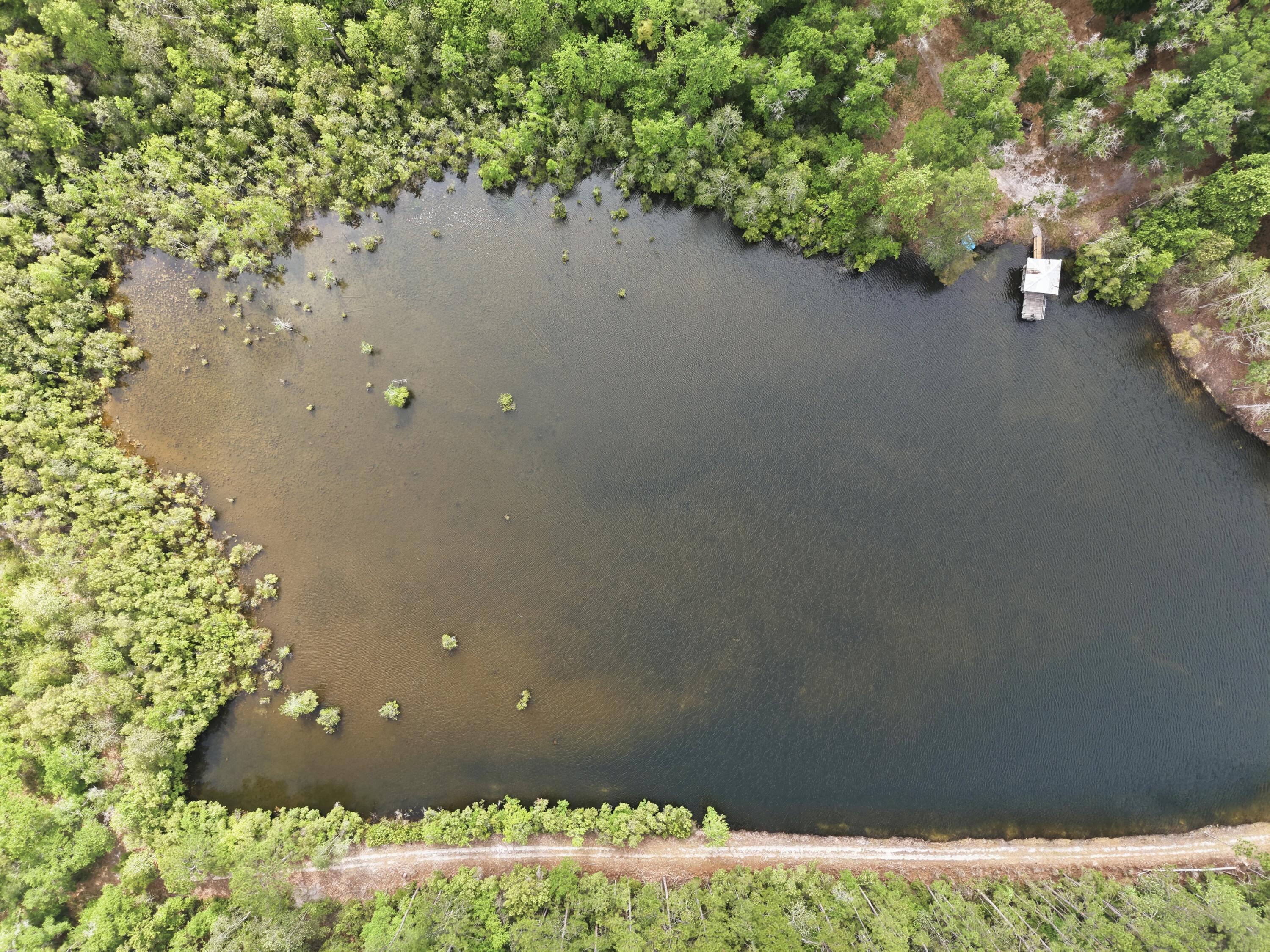 261 Wilkerson Road, DeFuniak Springs
