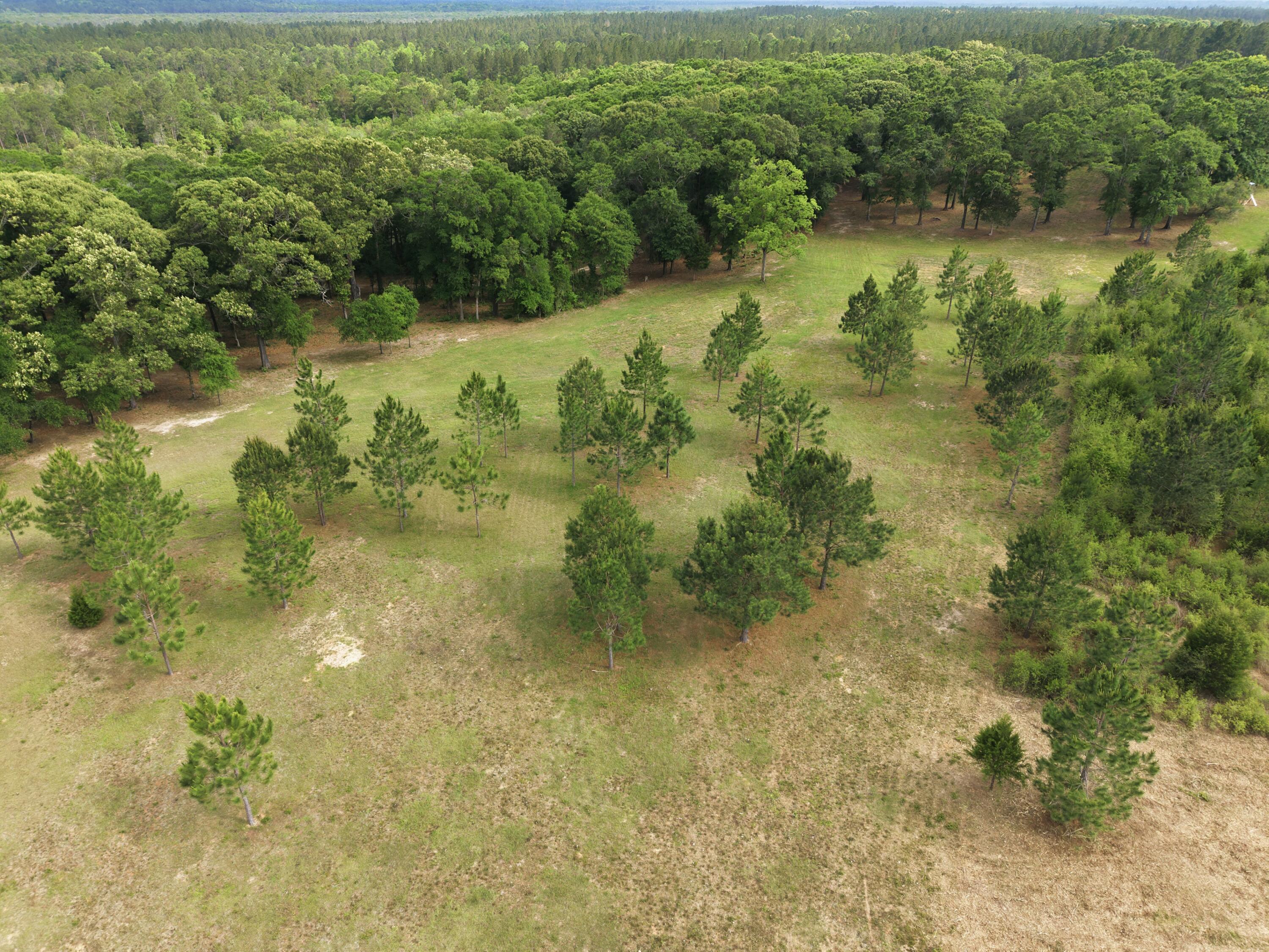 261 Wilkerson Road, DeFuniak Springs