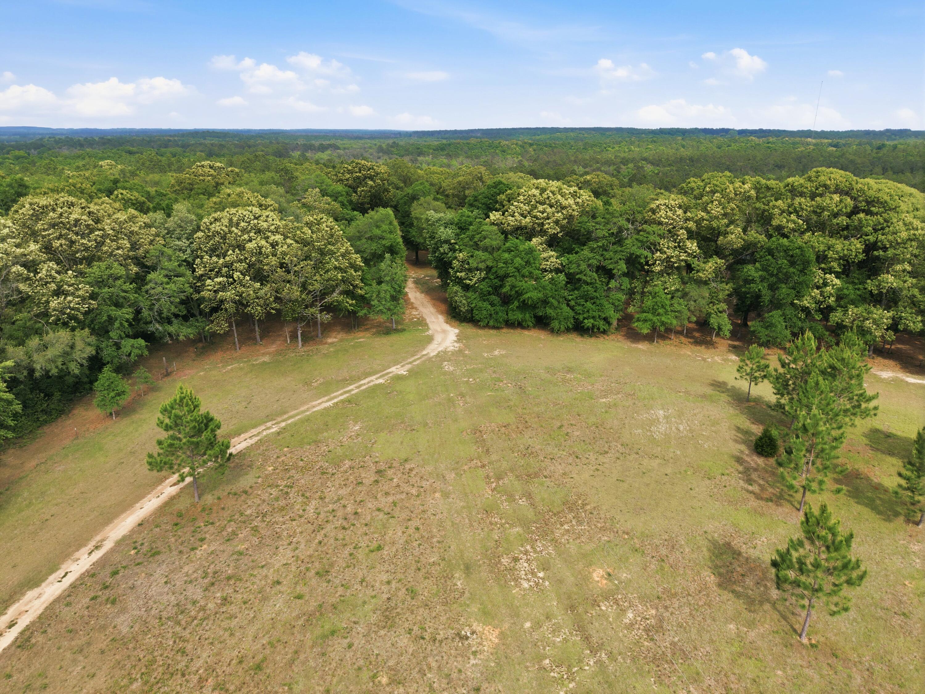 261 Wilkerson Road, DeFuniak Springs
