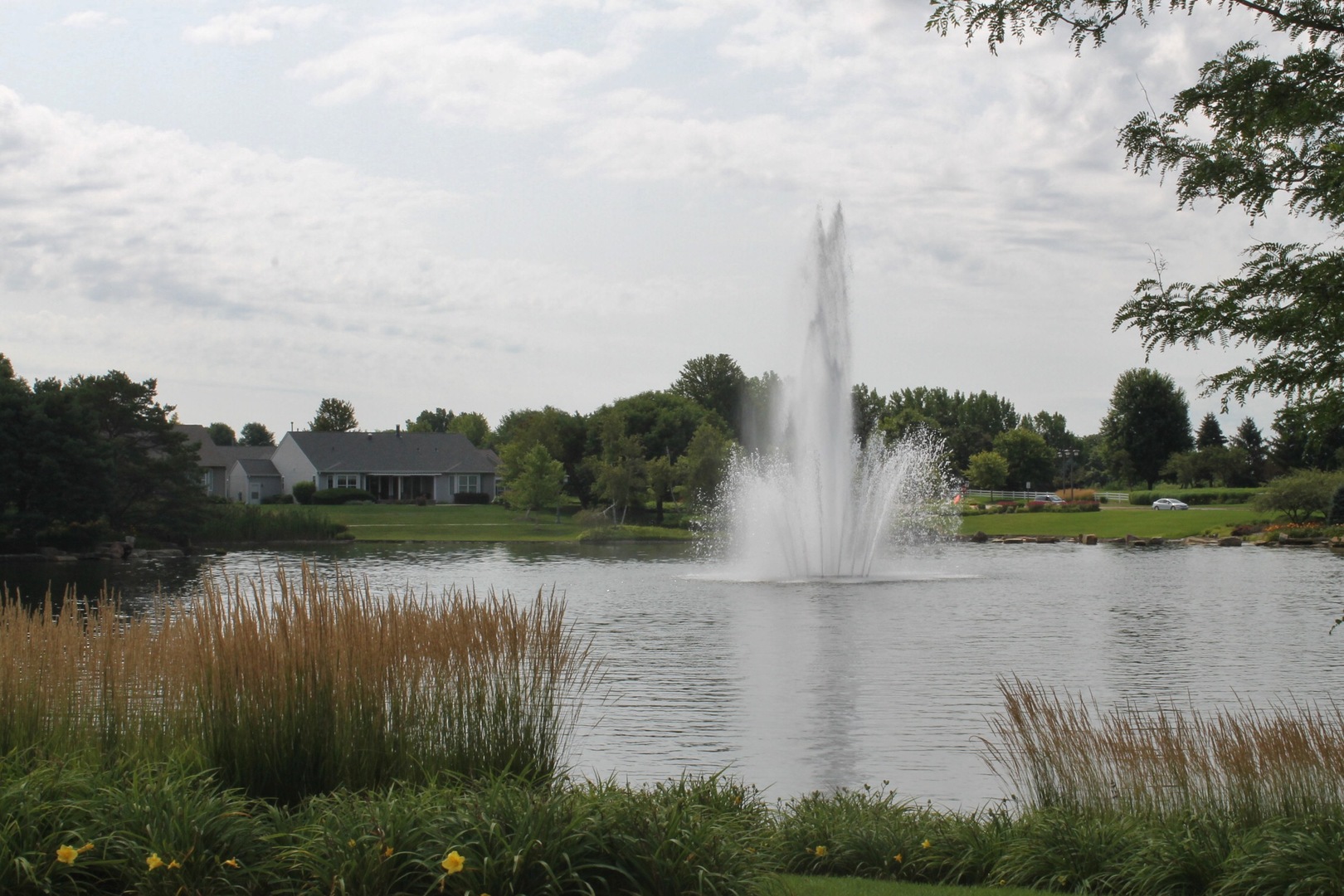 13437 Michigan Avenue Unit: 13437