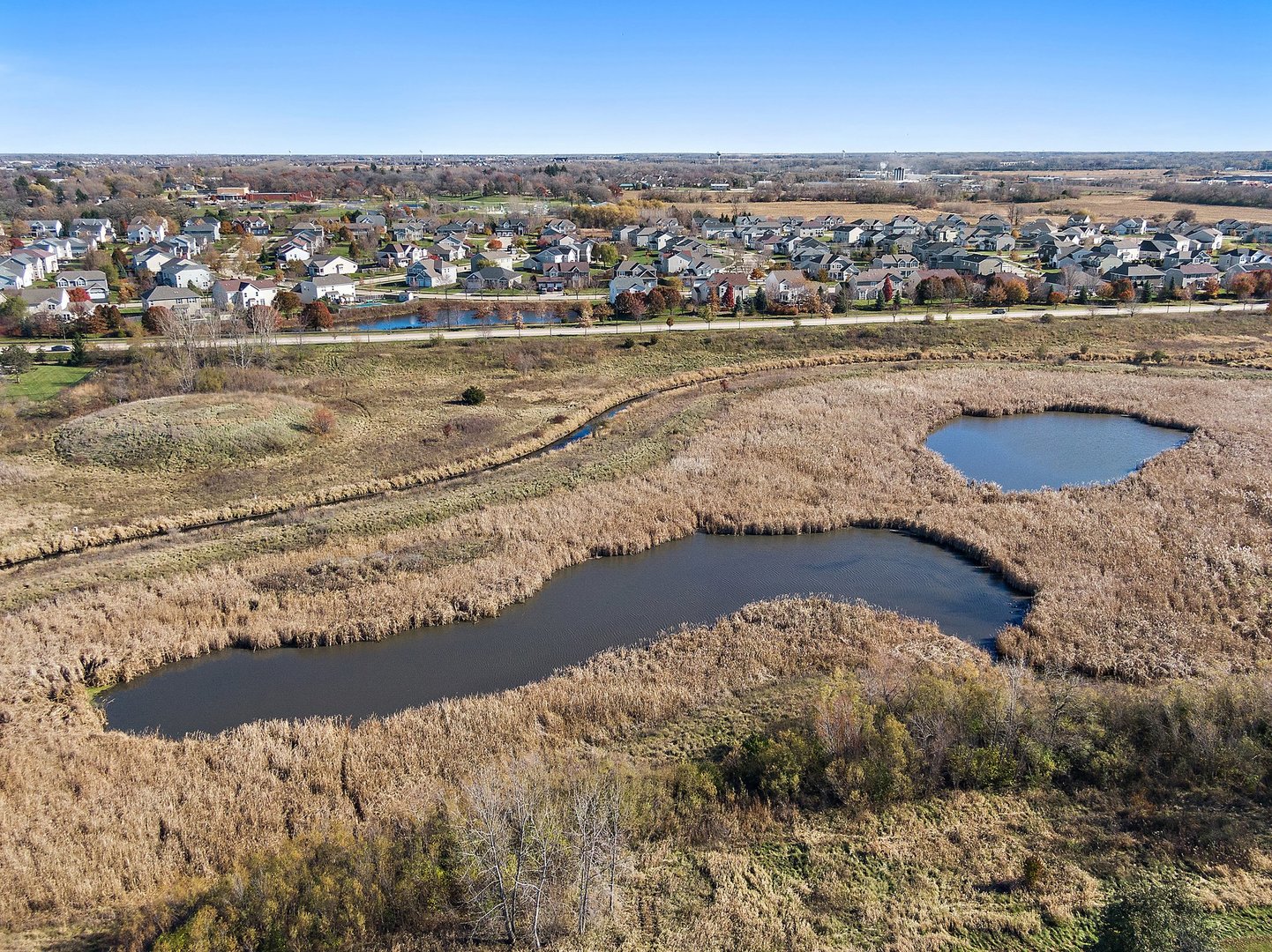 11462 Stonewater Xing