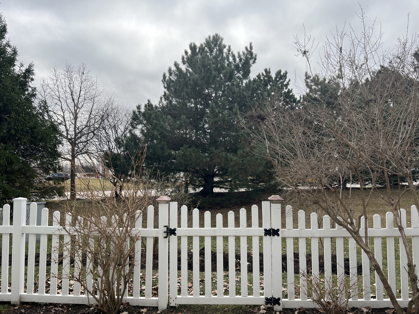 13255 Cedar Crest Lane