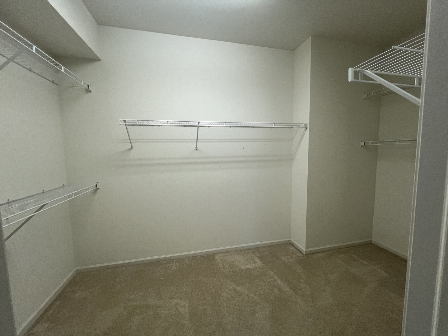 12392 Wedgemere Drive