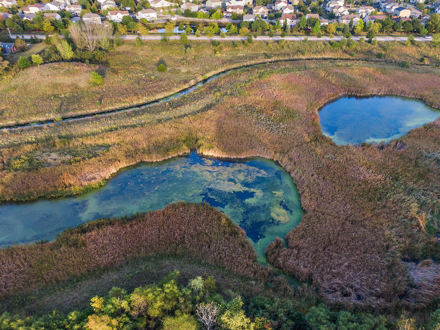 11492 Stonewater Crossing