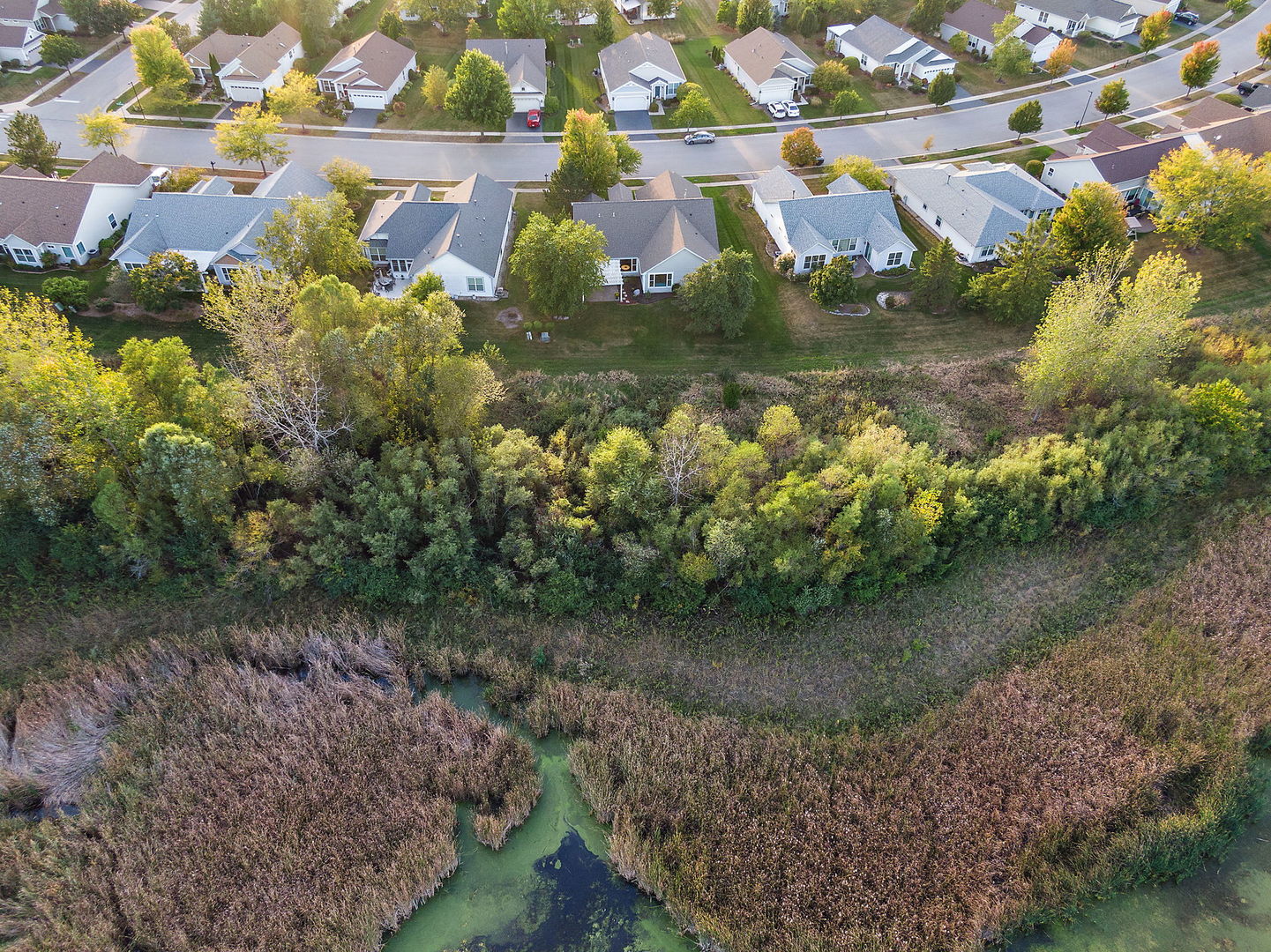 11492 Stonewater Crossing