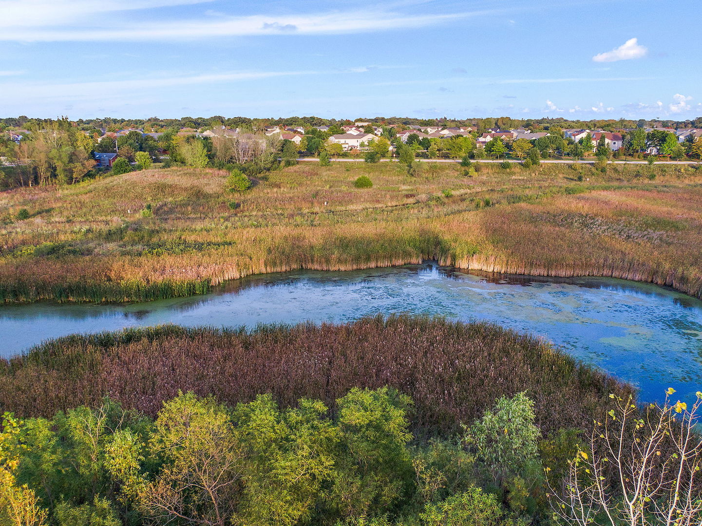 11492 Stonewater Crossing