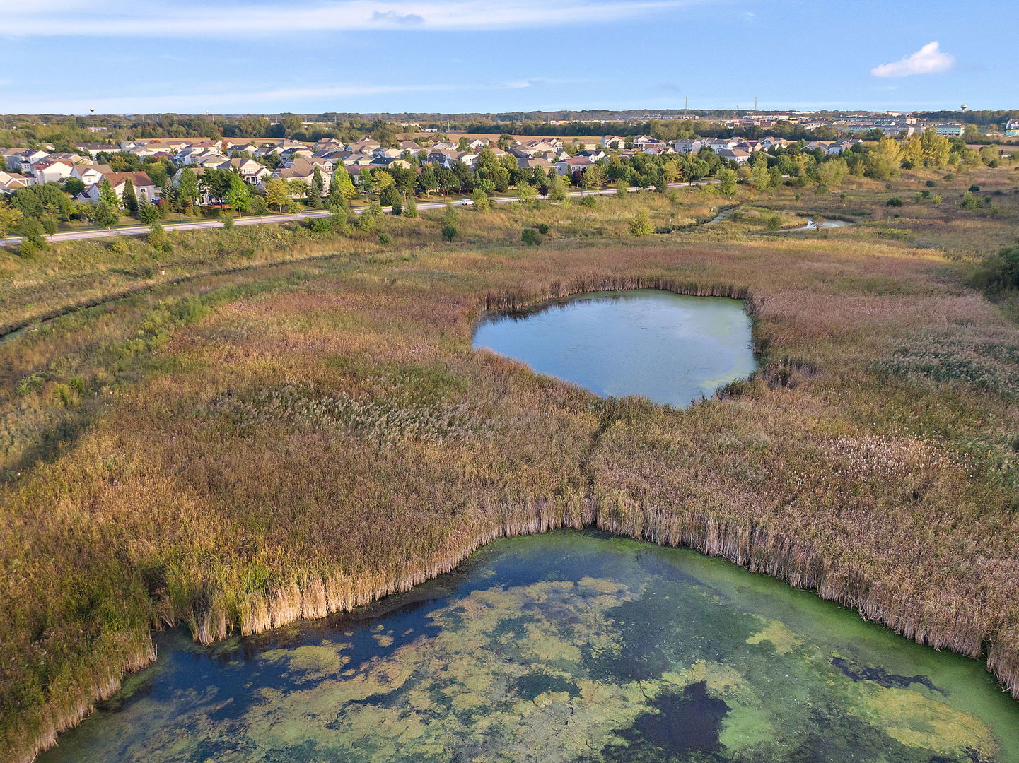 11492 Stonewater Crossing