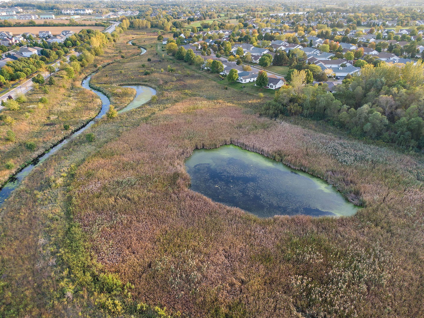 11492 Stonewater Crossing