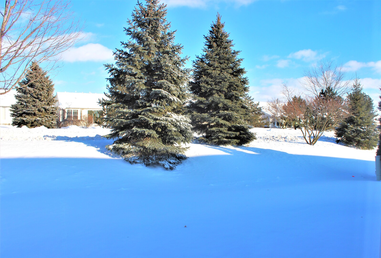 12392 Wedgemere Drive