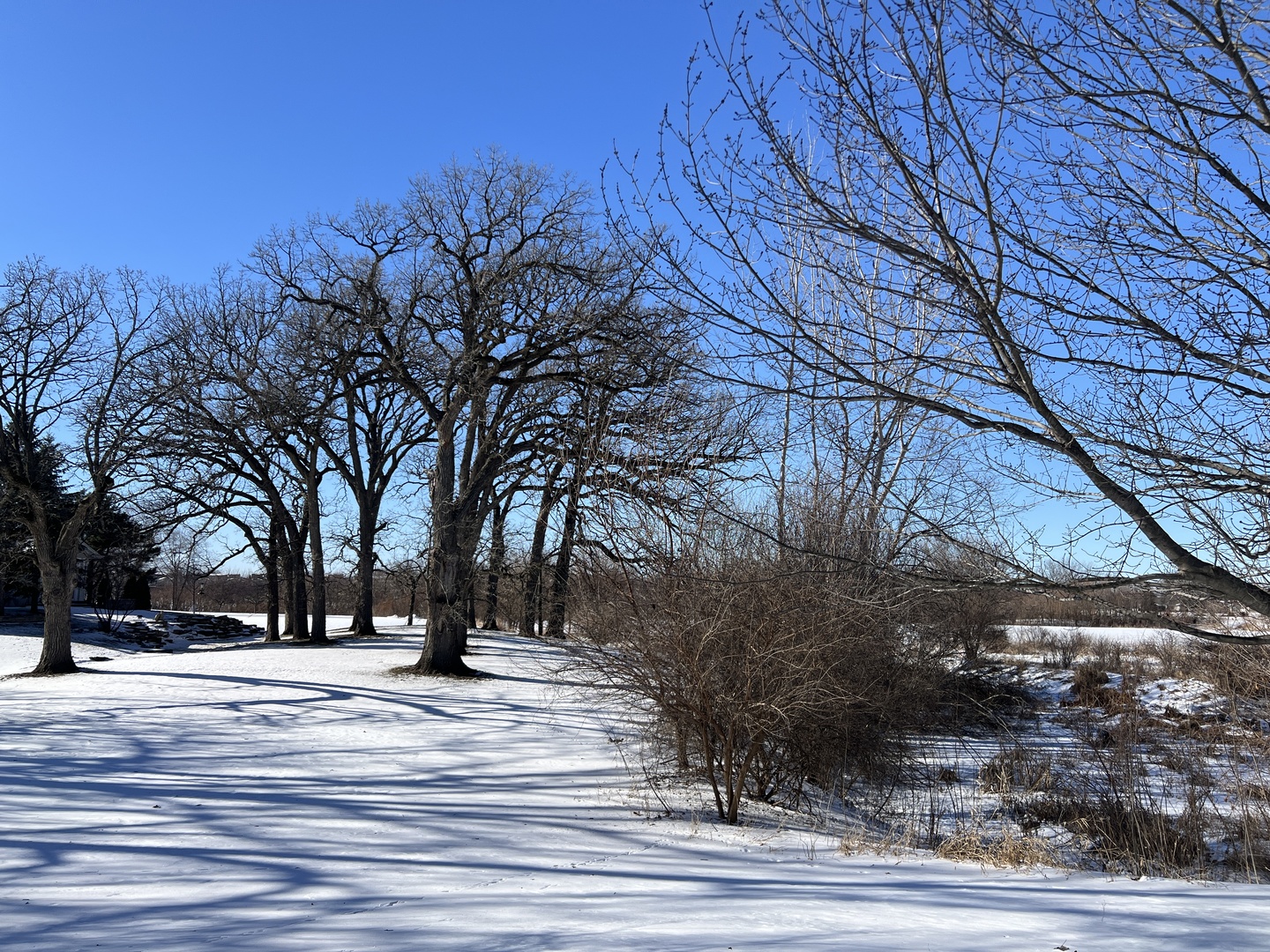 13215 MICHIGAN Avenue