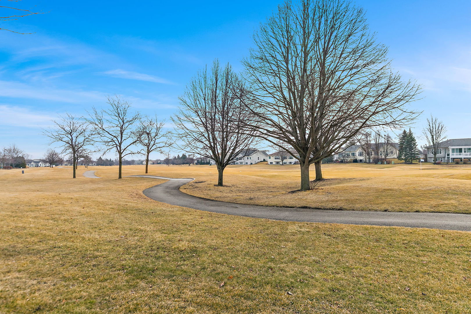 11798 Wildrose Drive