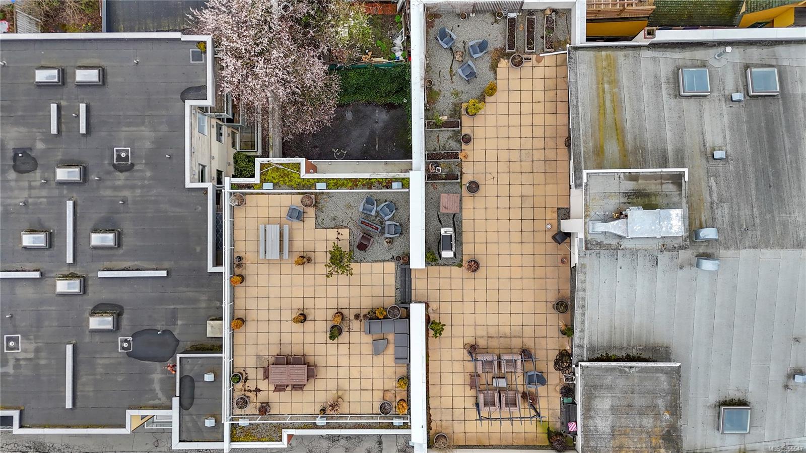 1602 Quadra St # 206