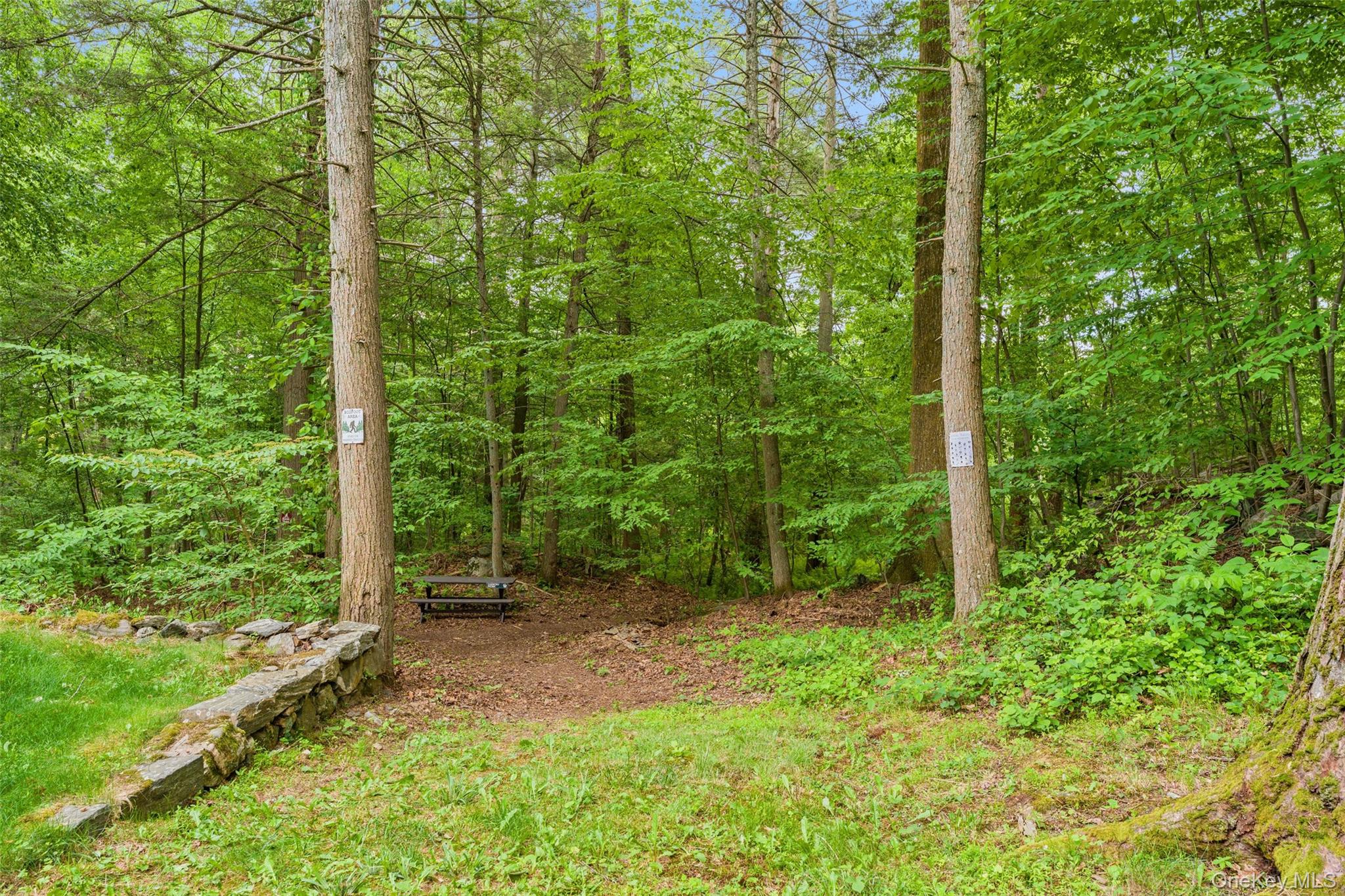 25 Cabin Ridge Road