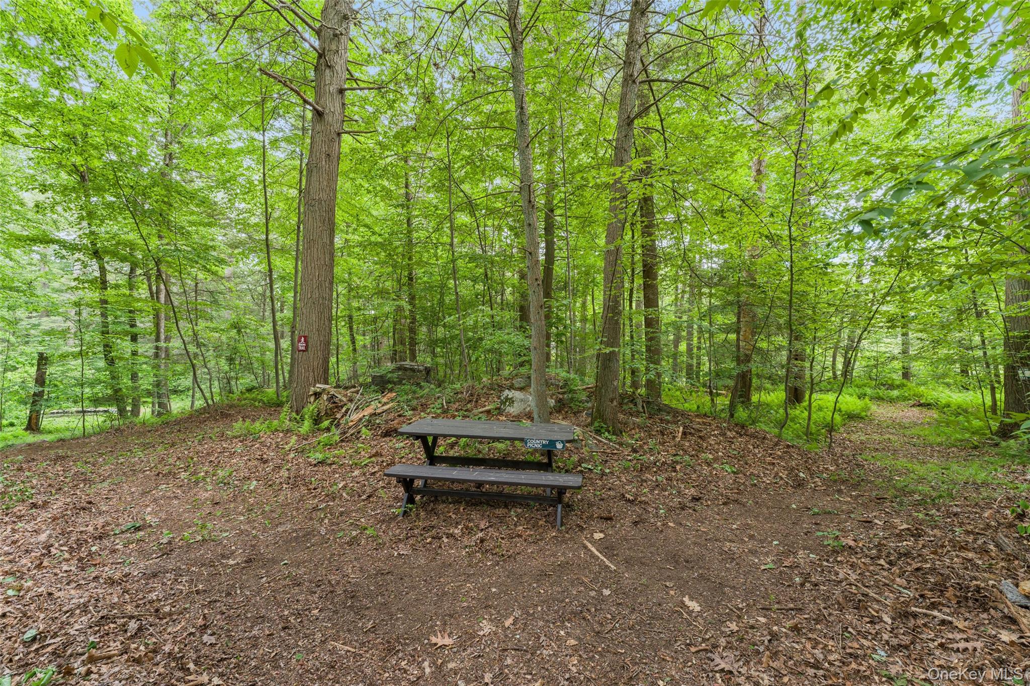 25 Cabin Ridge Road