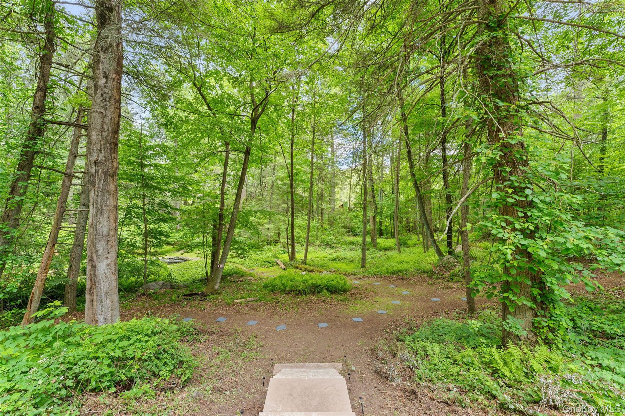 25 Cabin Ridge Road