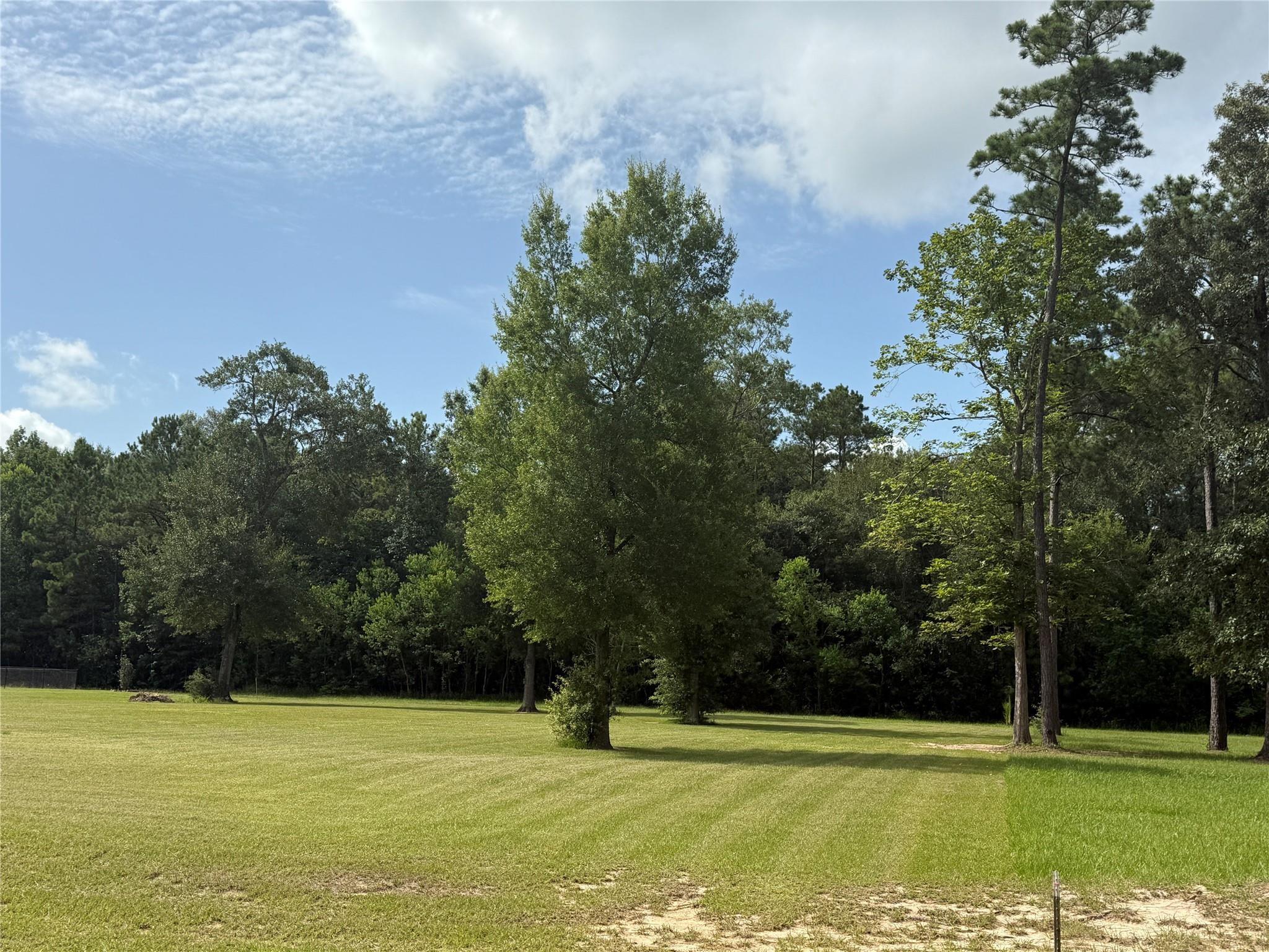 318 Pinchback Drive