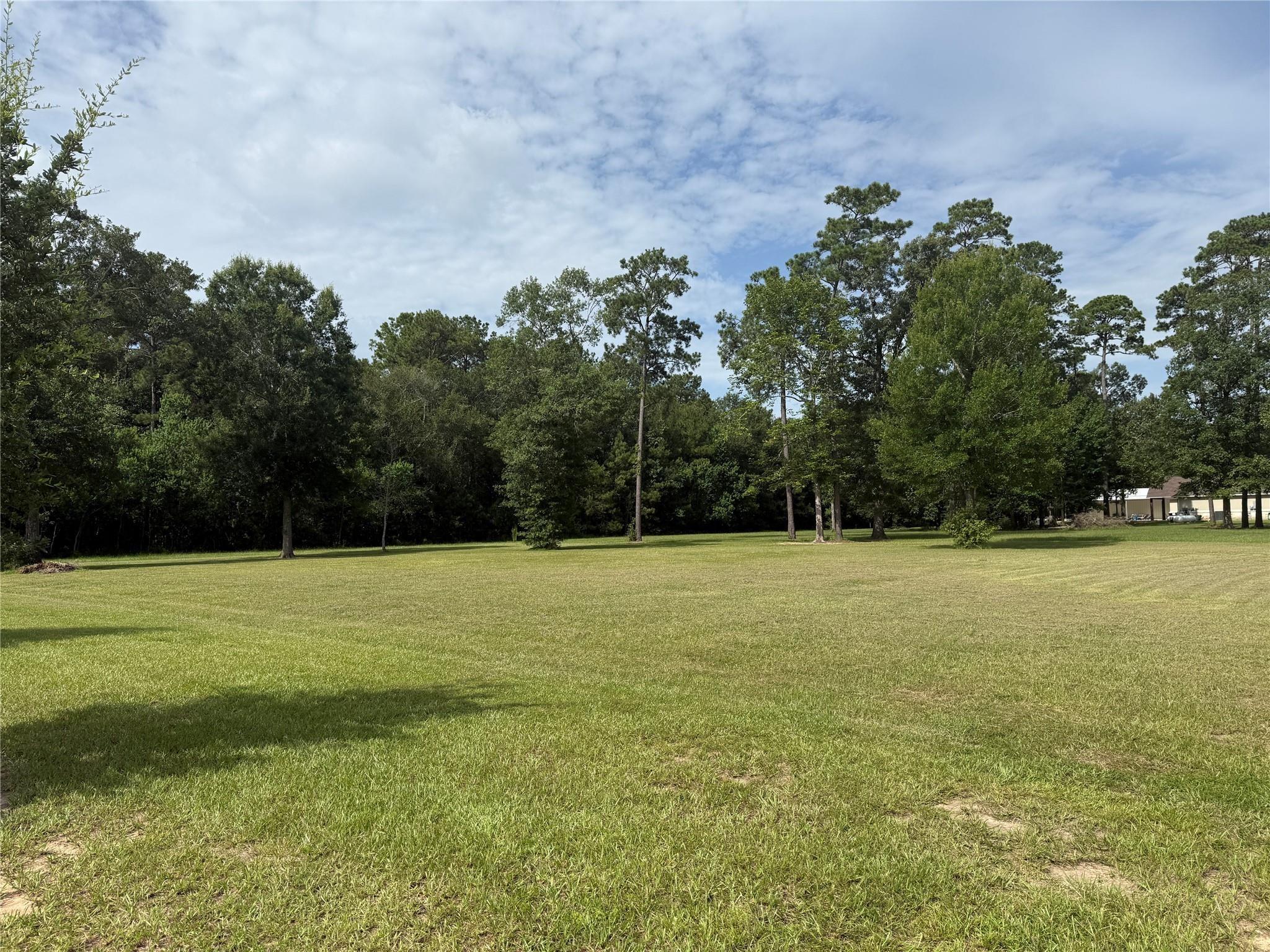 318 Pinchback Drive