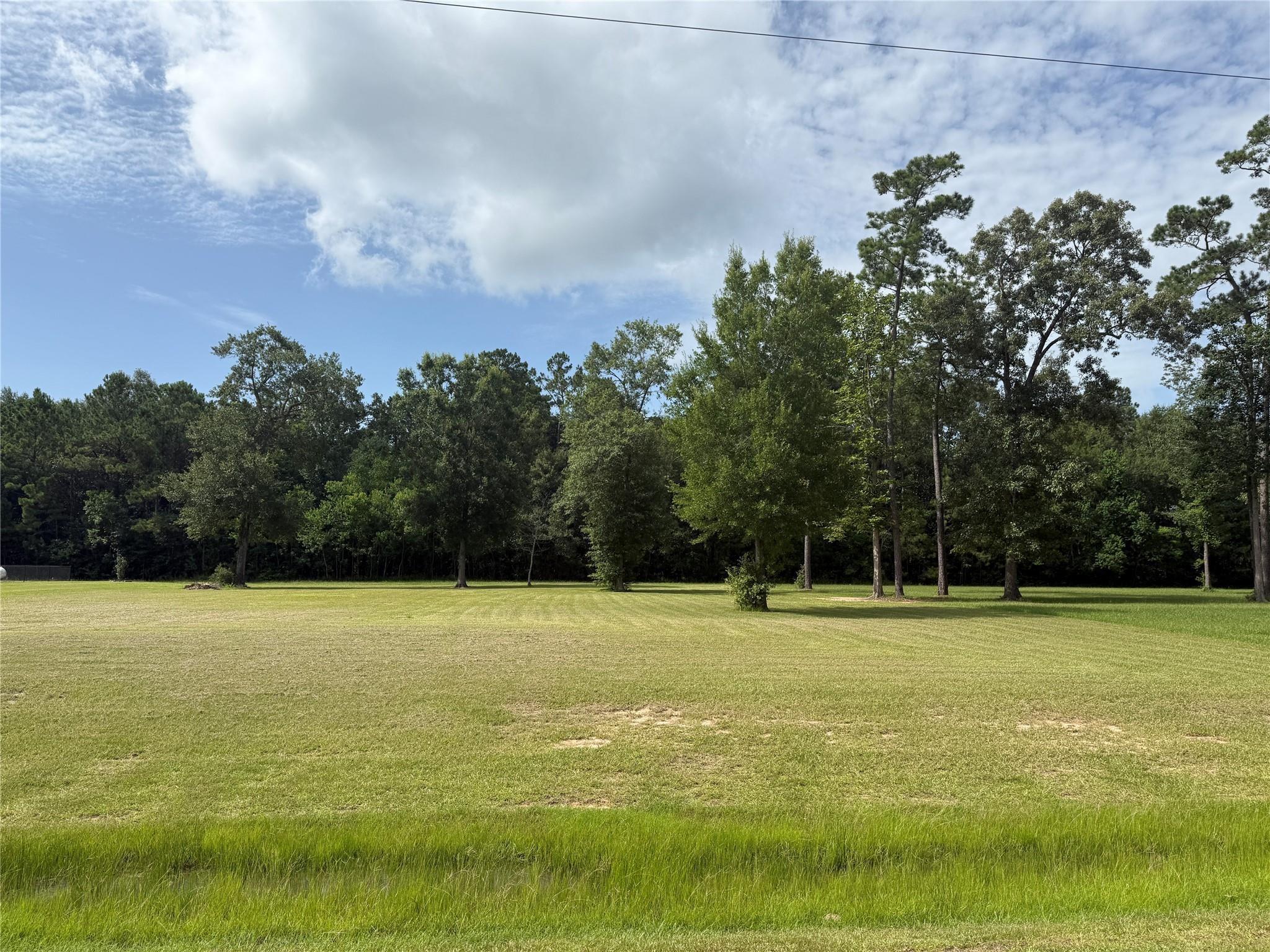 318 Pinchback Drive