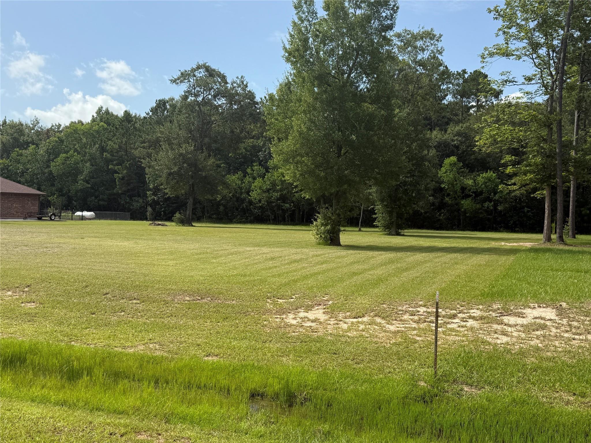318 Pinchback Drive