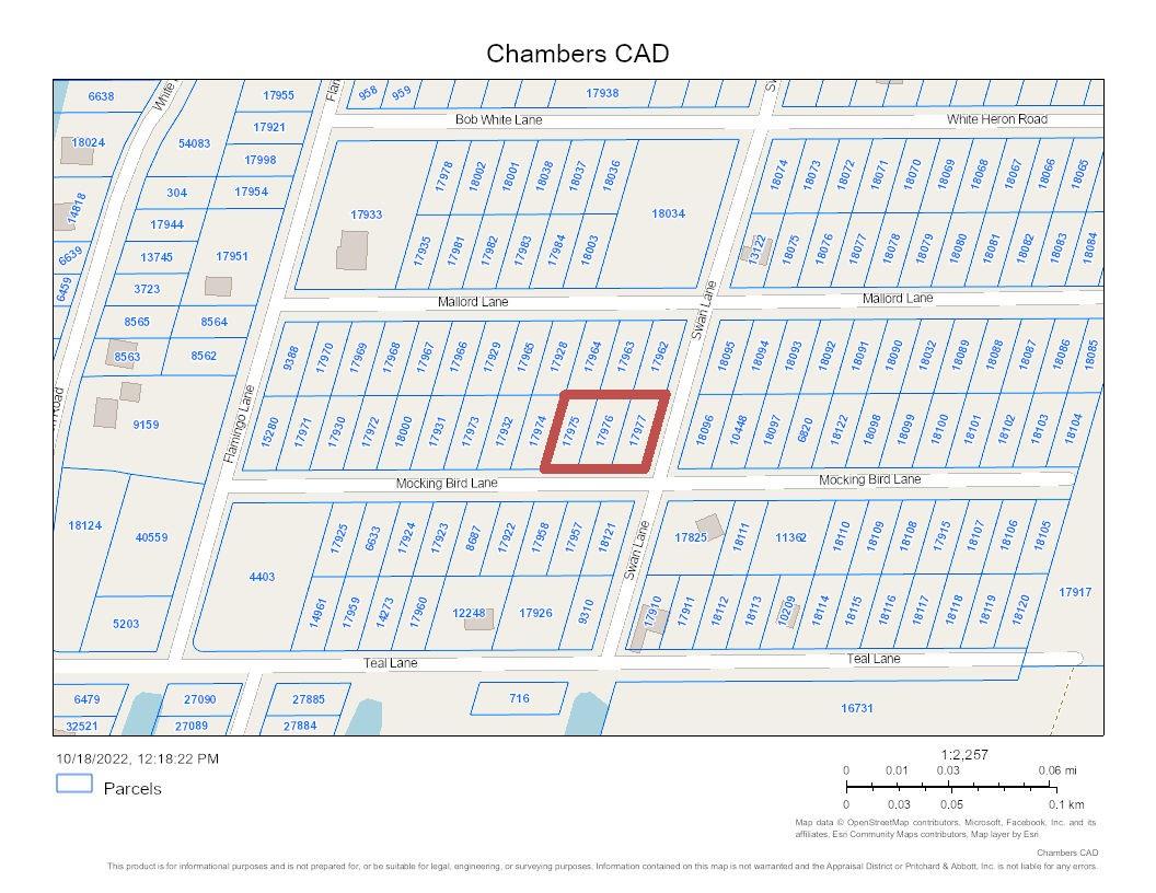 000 Mocking Bird Lane