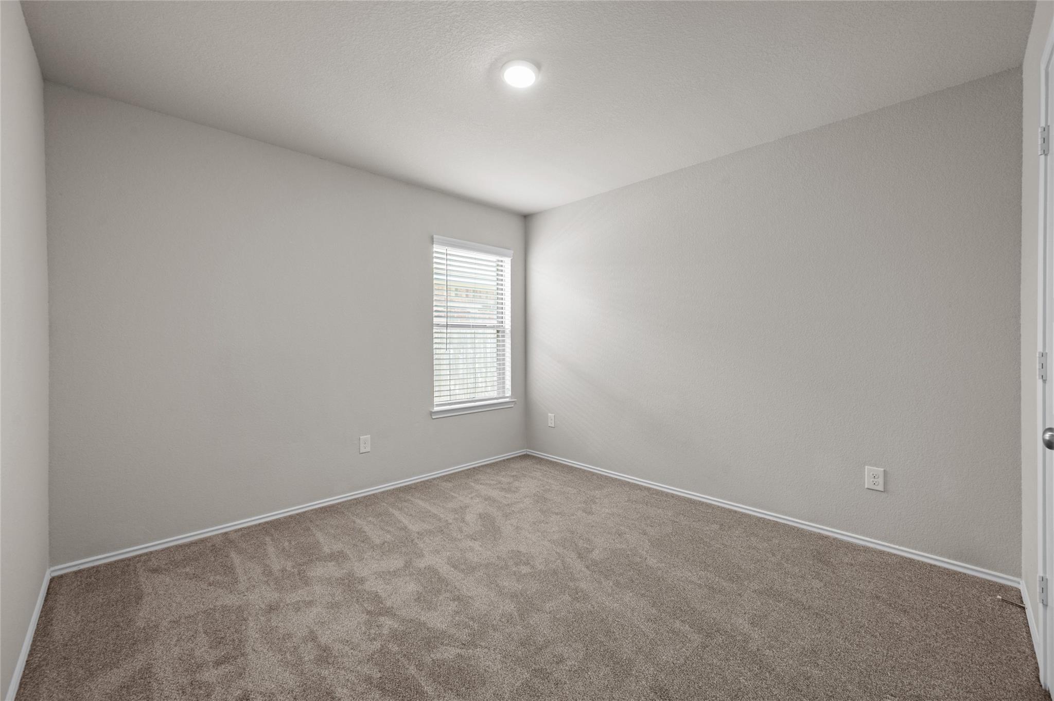 7730 Squall Lane