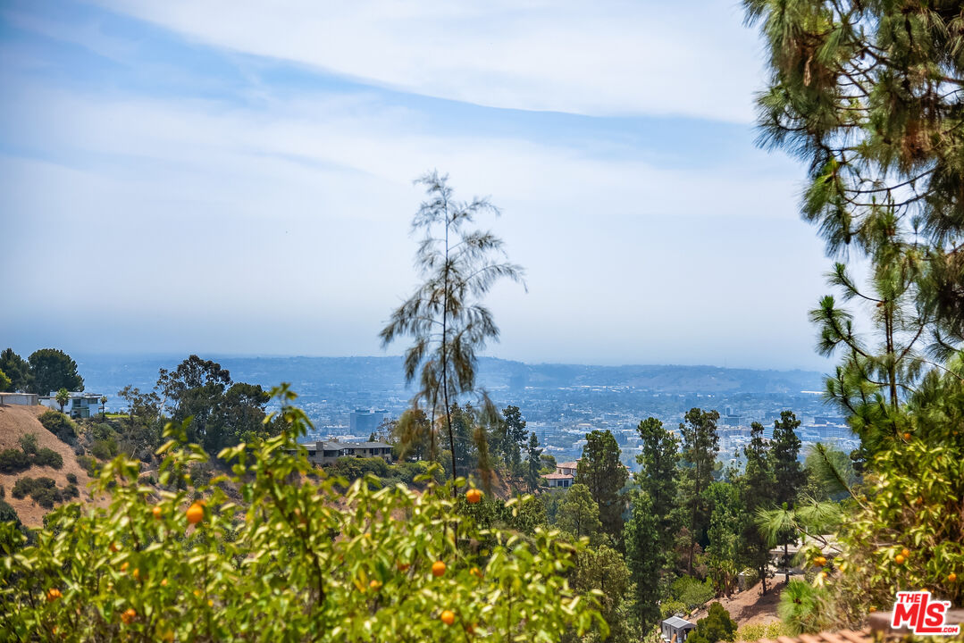 1280 Monte Cielo Dr