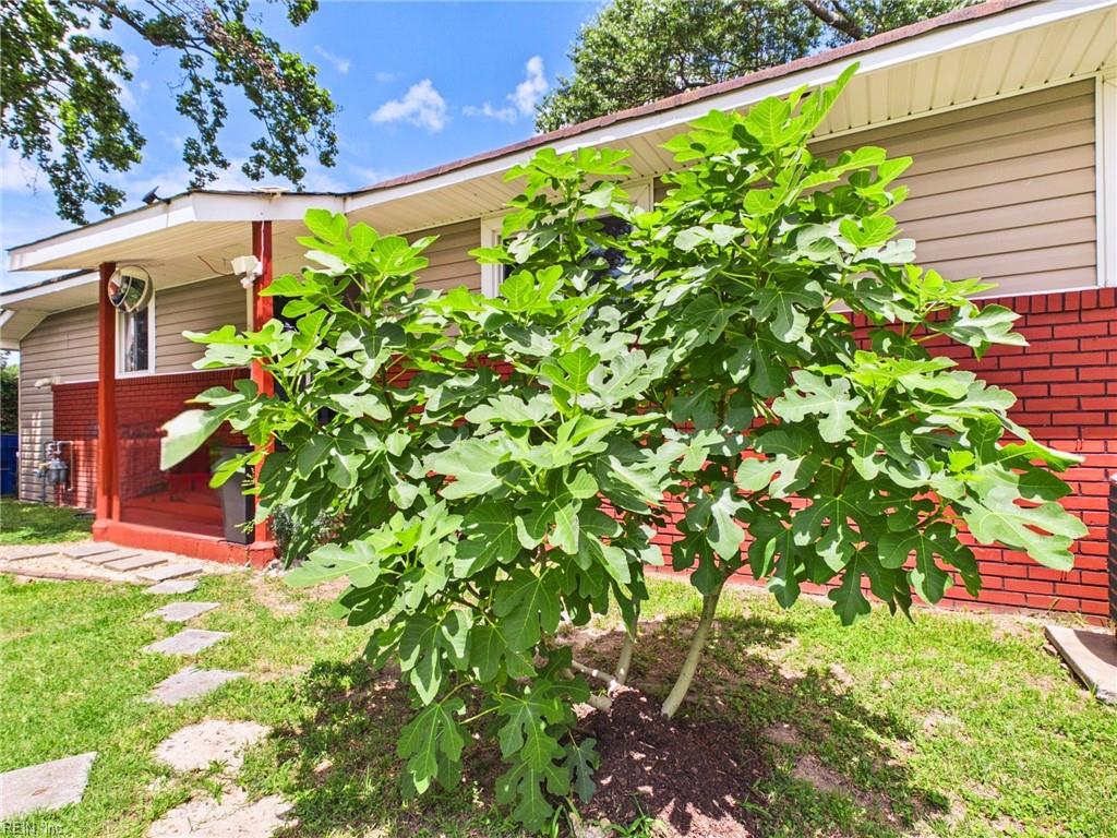 3535 Kevin DR