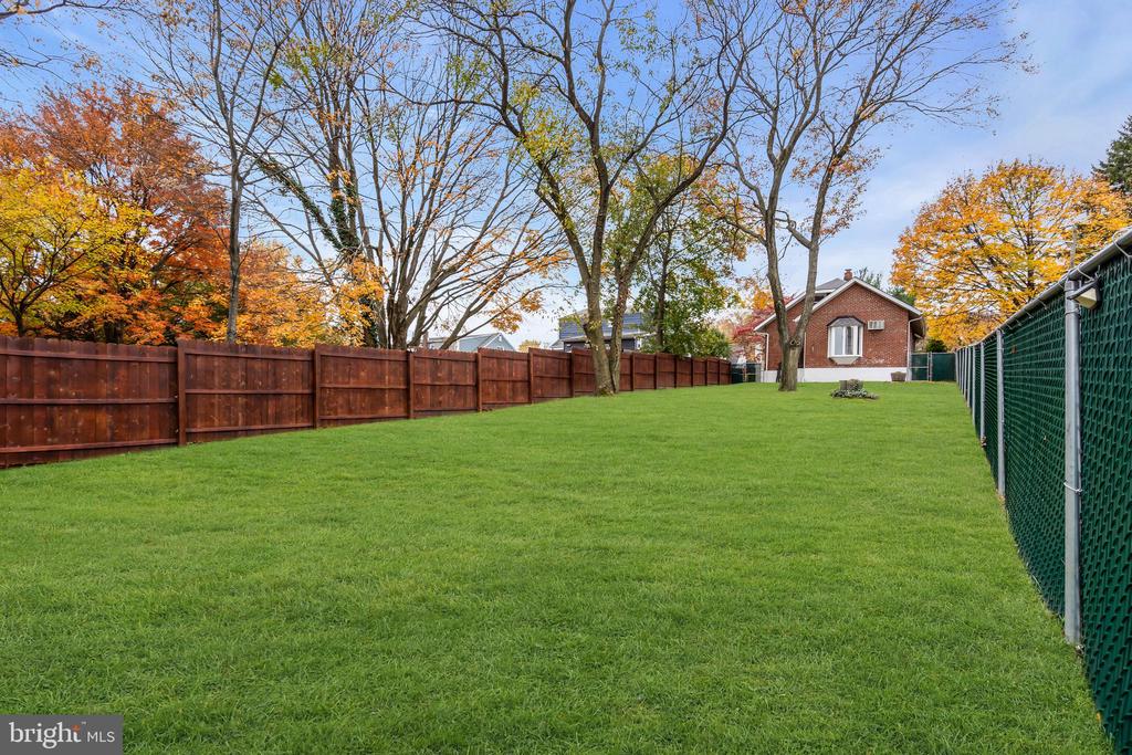 29 SAYBROOK