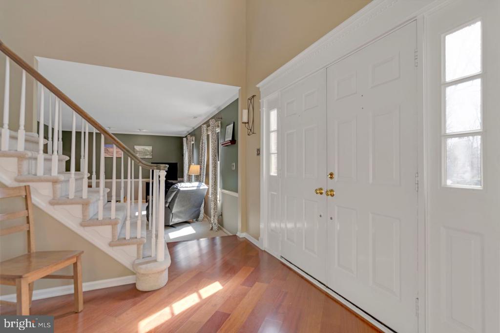 41 LAWRENCIA DRIVE