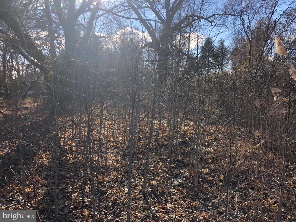 167 ROBBINSVILLE ALLENTOWN ROAD