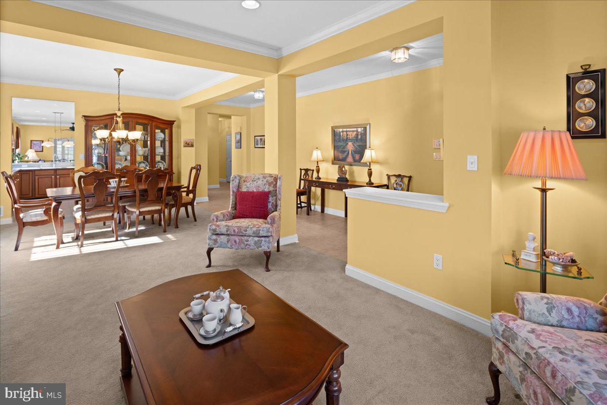 16 Stony Path Dr