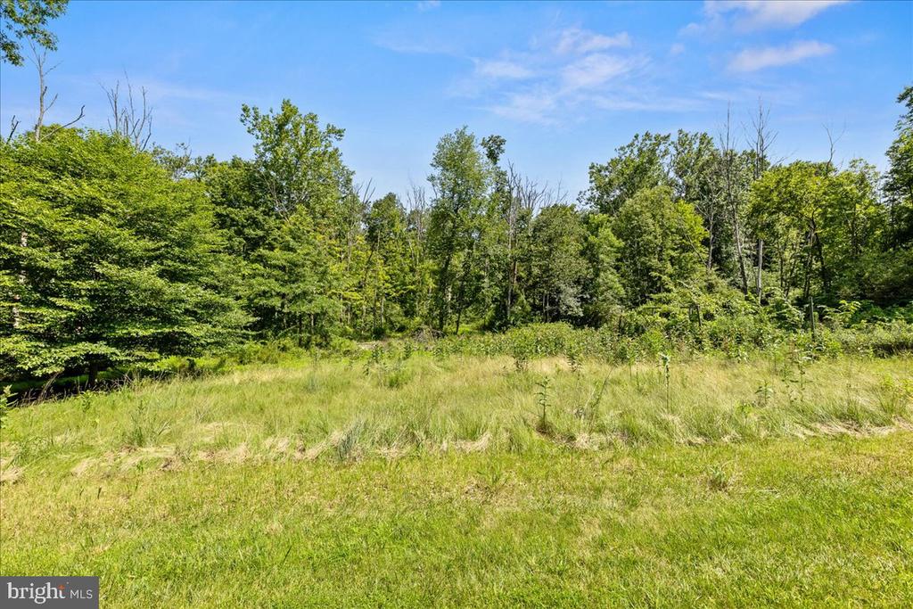 369 GRANDVIEW ROAD