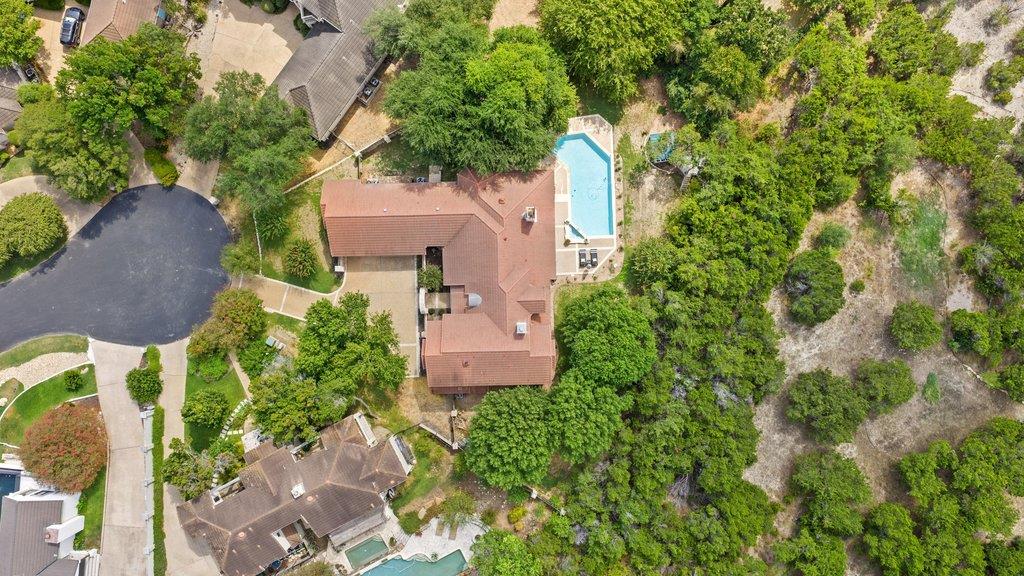6 Candleleaf CT