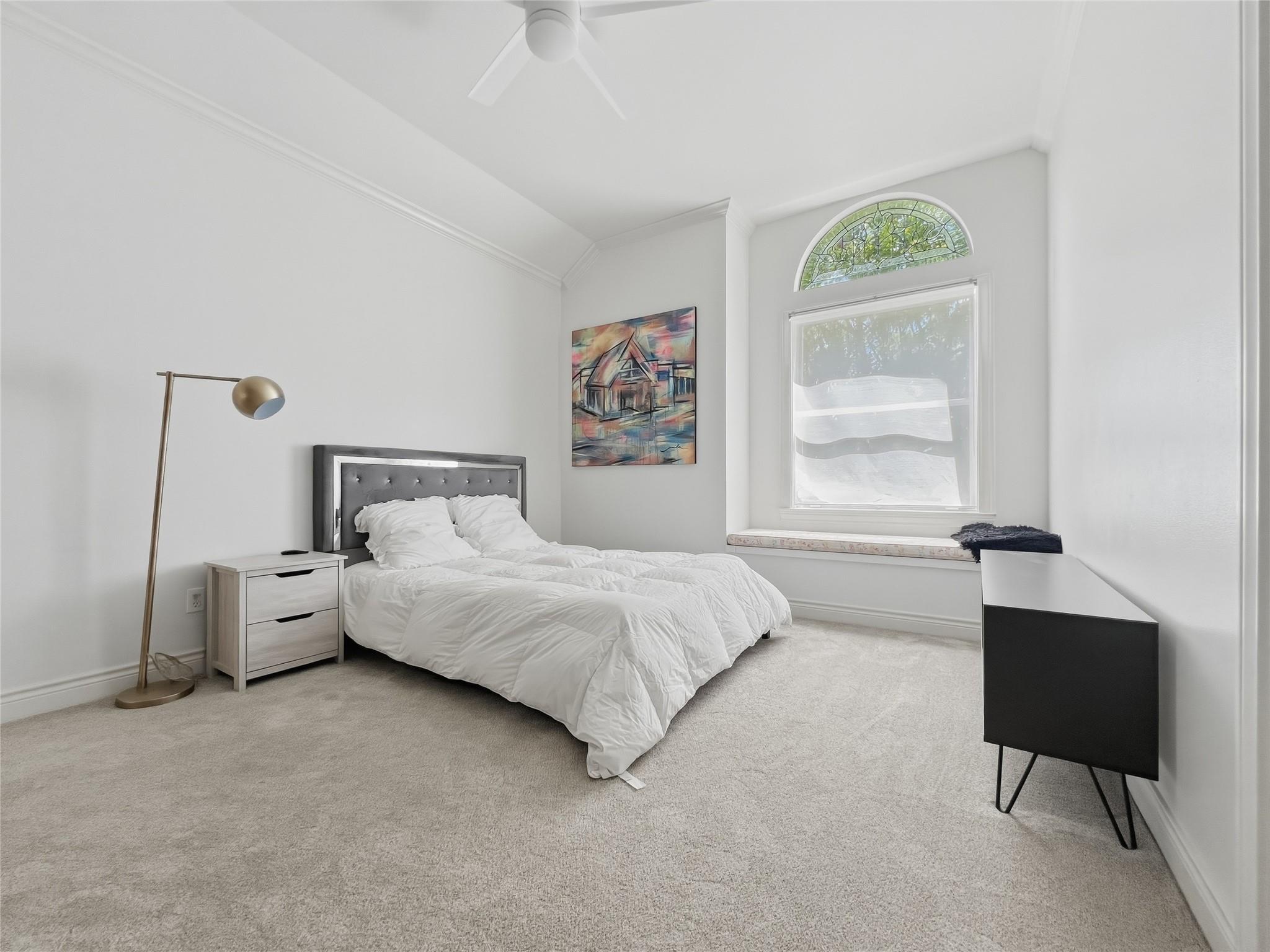 6 Candleleaf CT