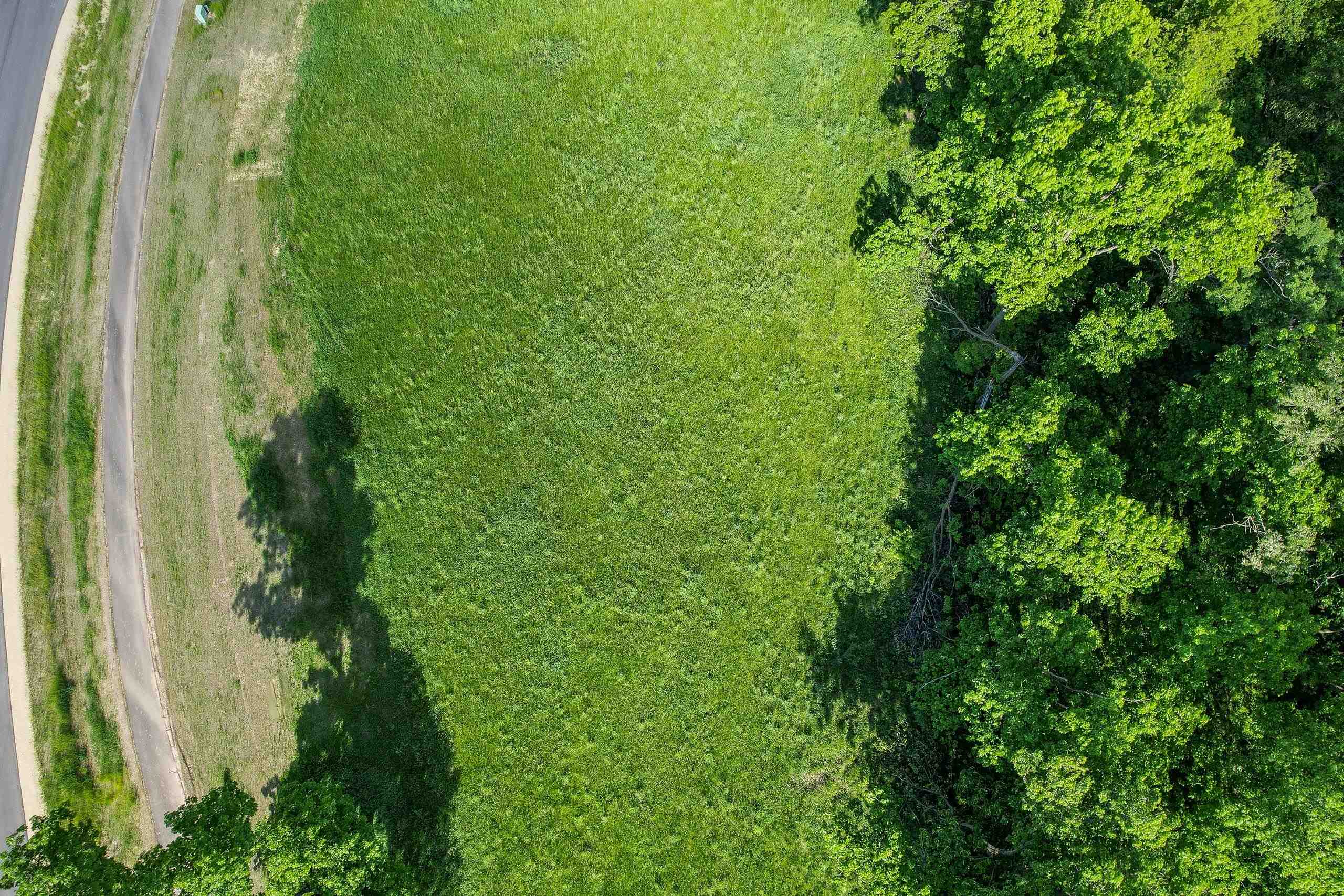 Lot 9 Blue Cedar Drive