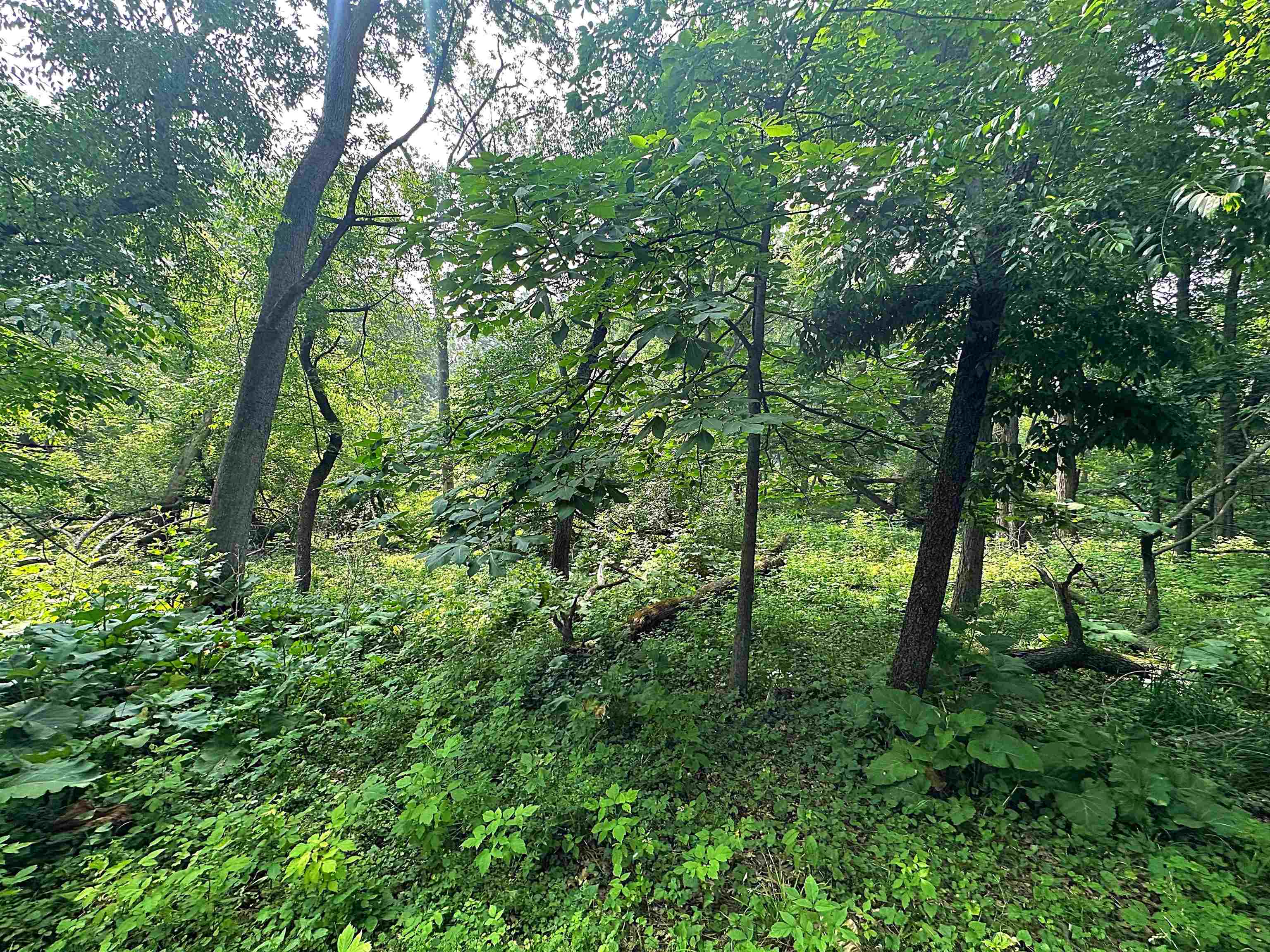 Lot 9 Blue Cedar Drive