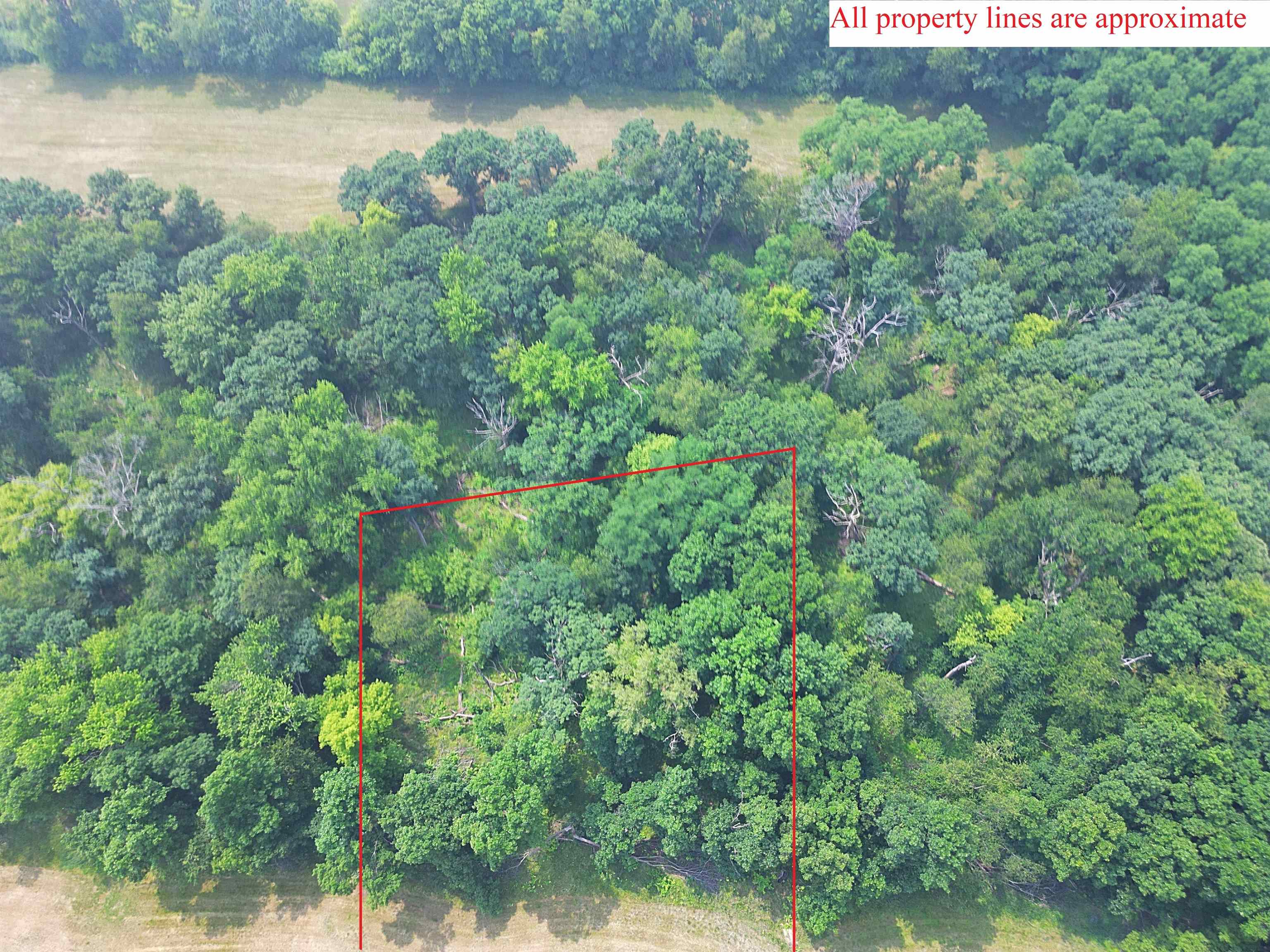 Lot 9 Blue Cedar Drive