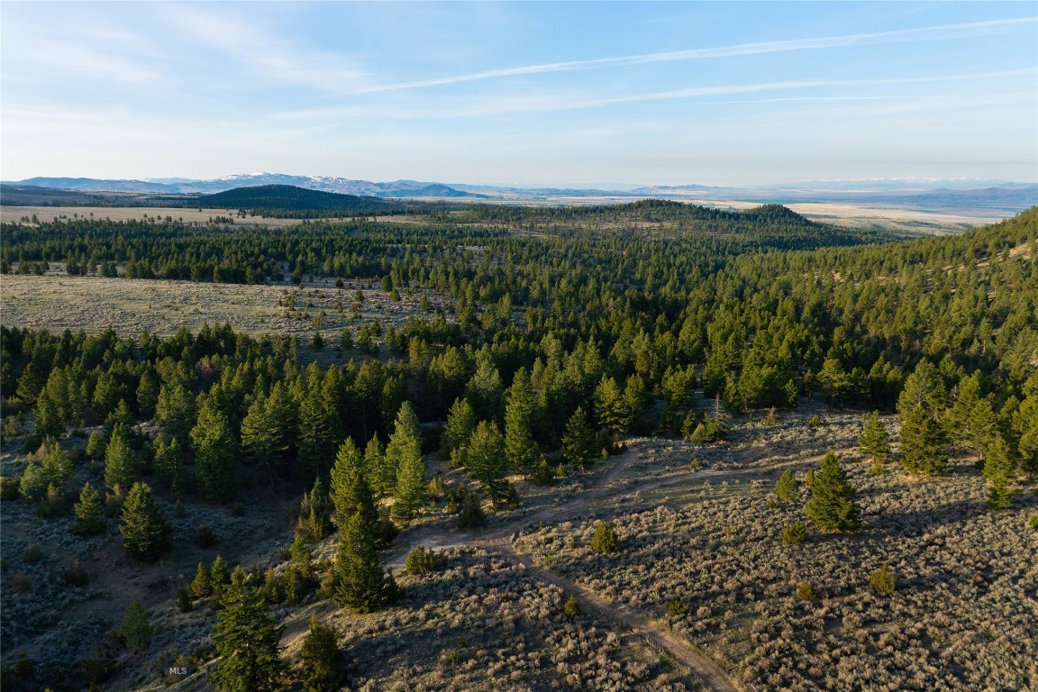 285 Lost Trail