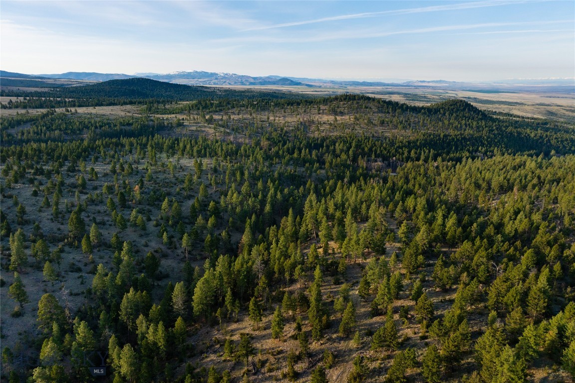 285 Lost Trail