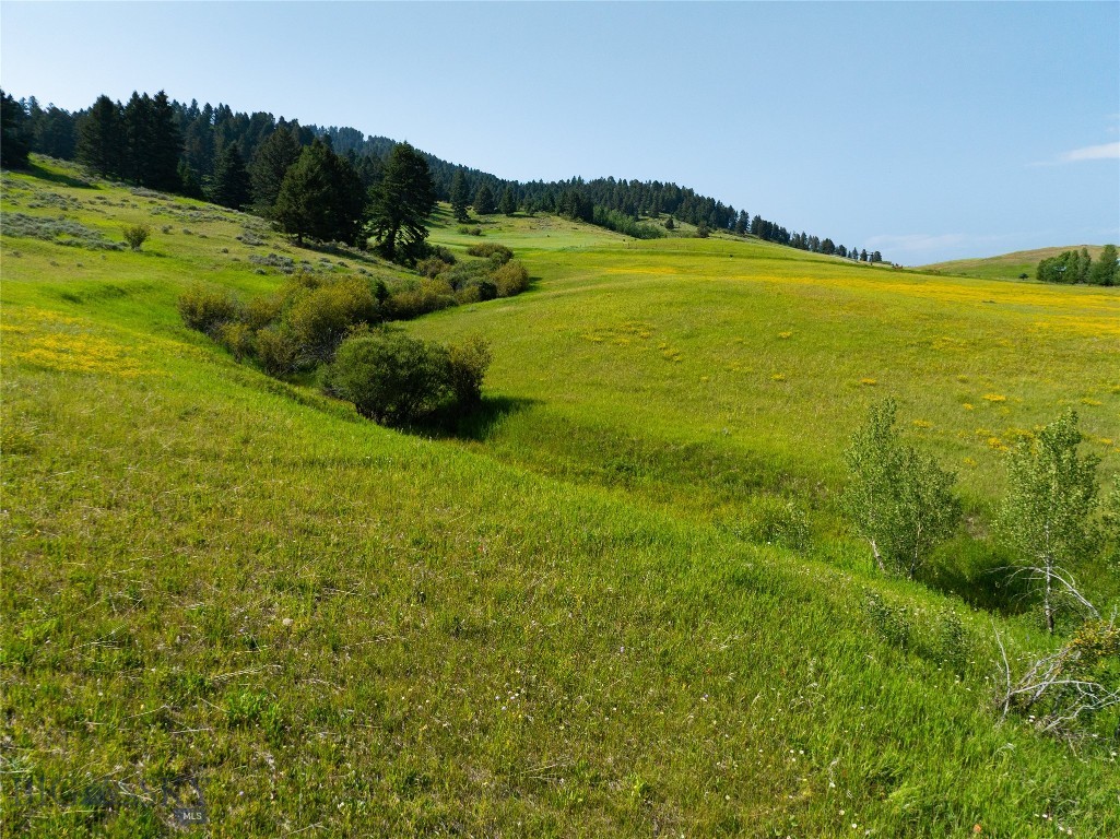 Parcel 6 Jackson Creek