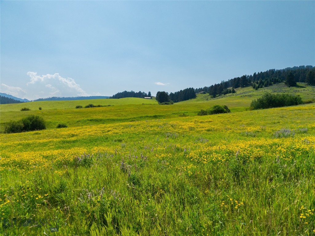 Parcel 6 Jackson Creek