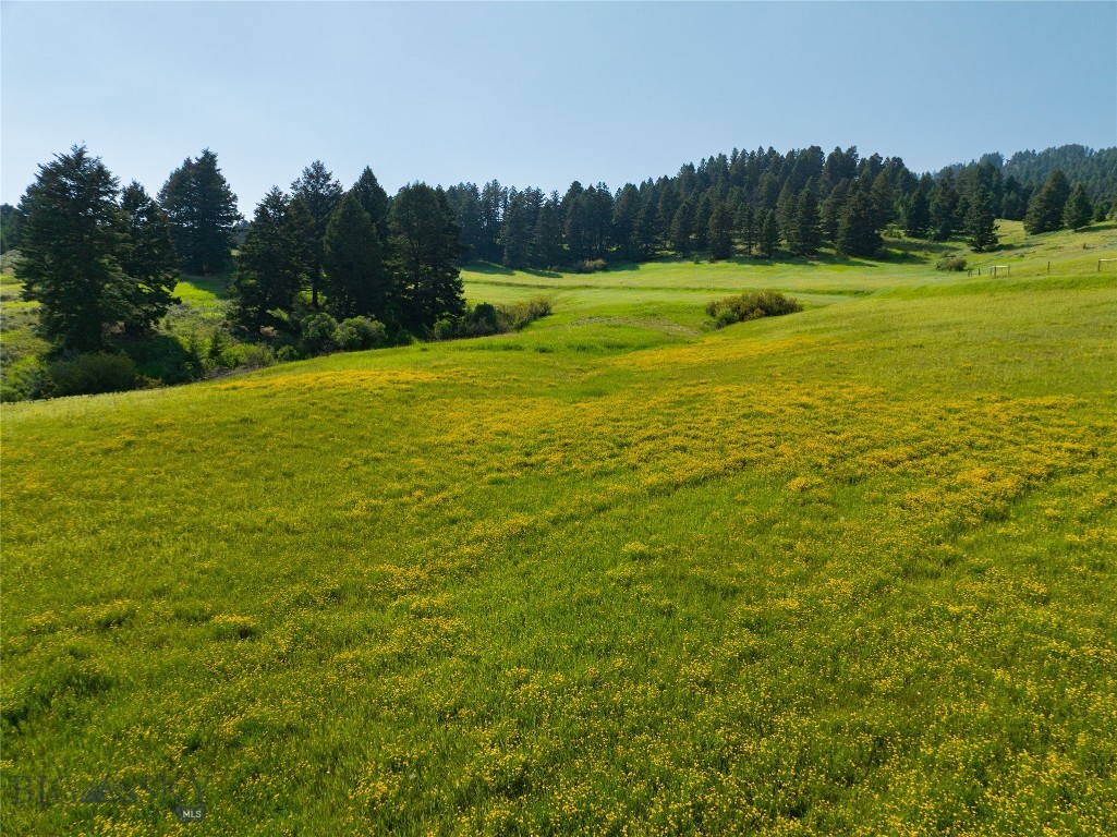 Parcel 6 Jackson Creek