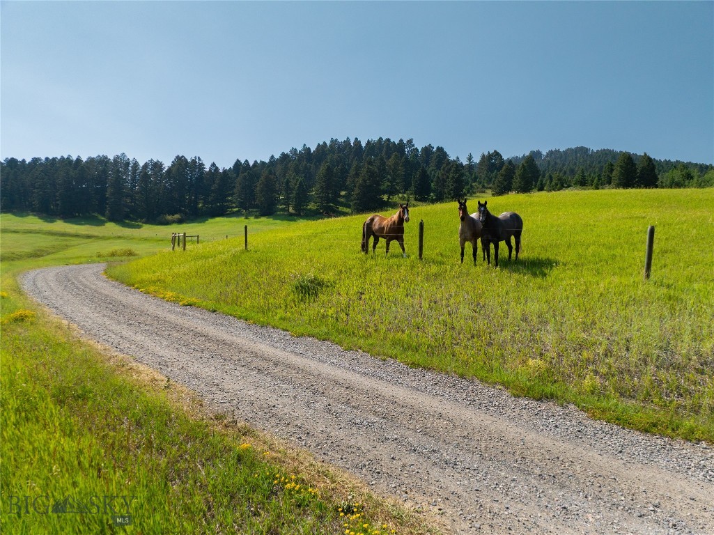 Parcel 6 Jackson Creek