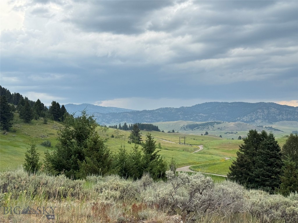 Parcel 6 Jackson Creek