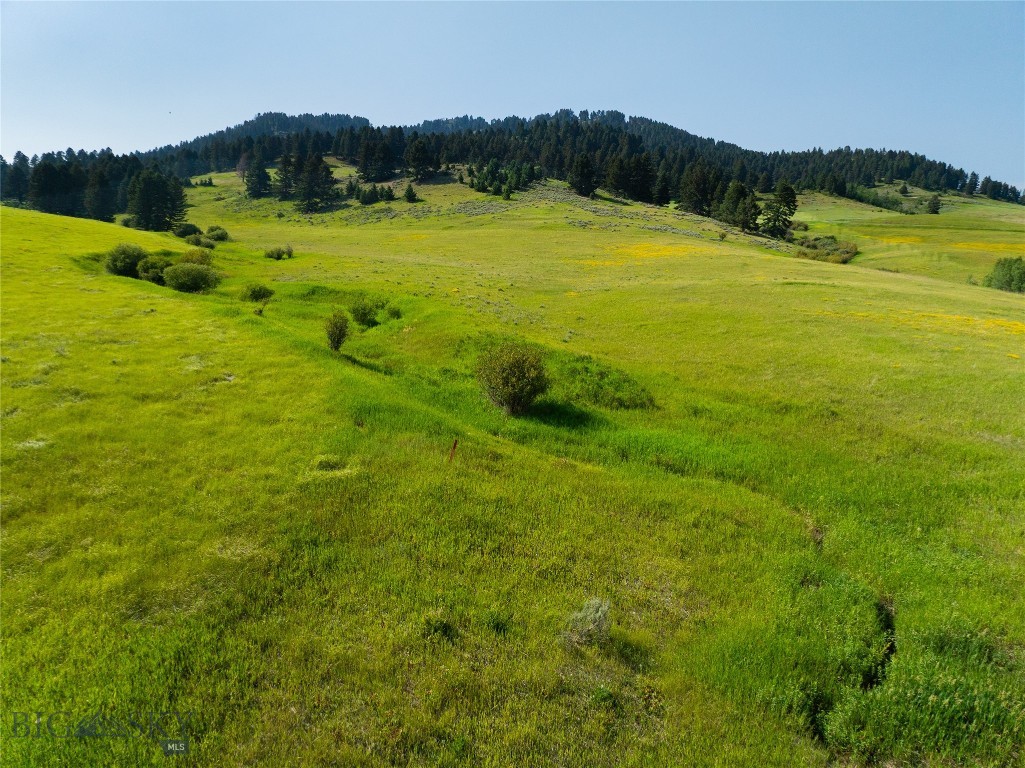 Parcel 6 Jackson Creek