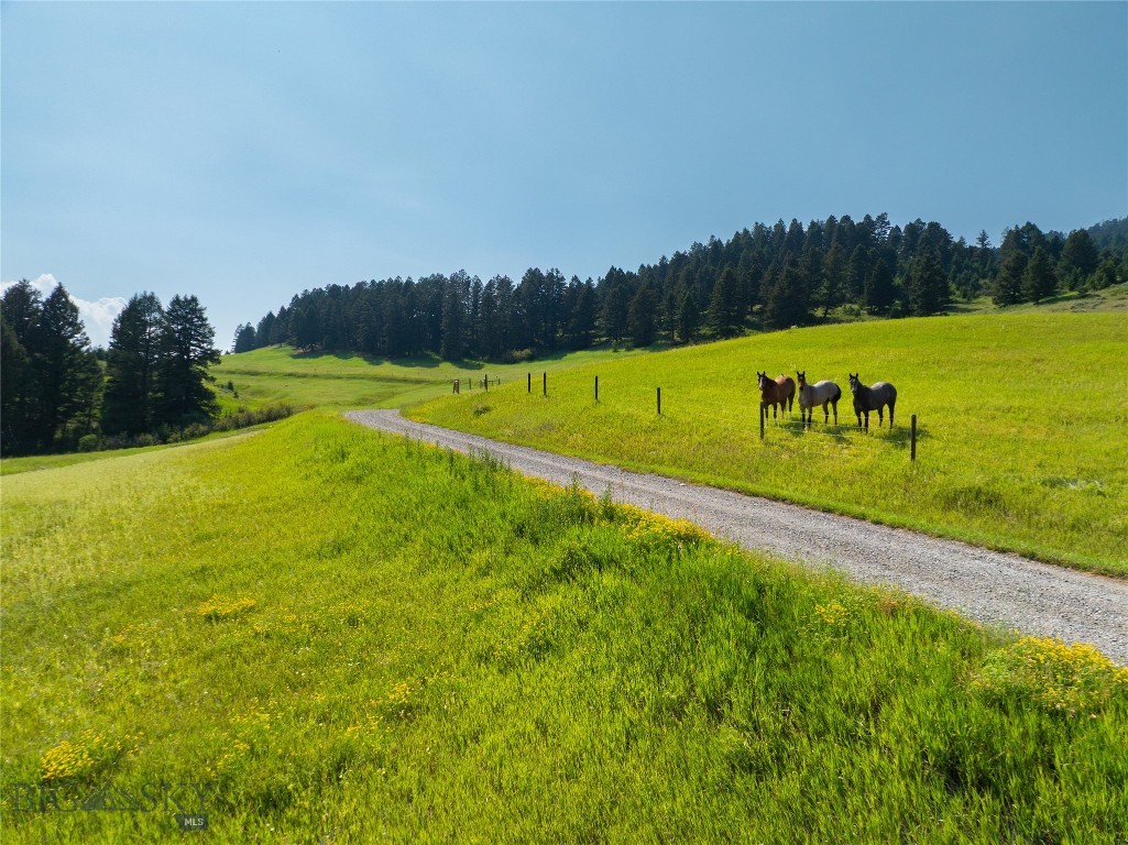 Parcel 6 Jackson Creek