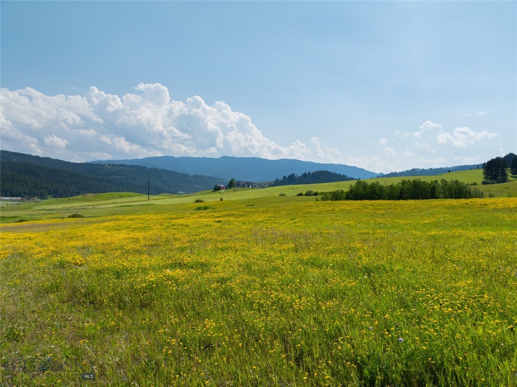 Parcel 6 Jackson Creek